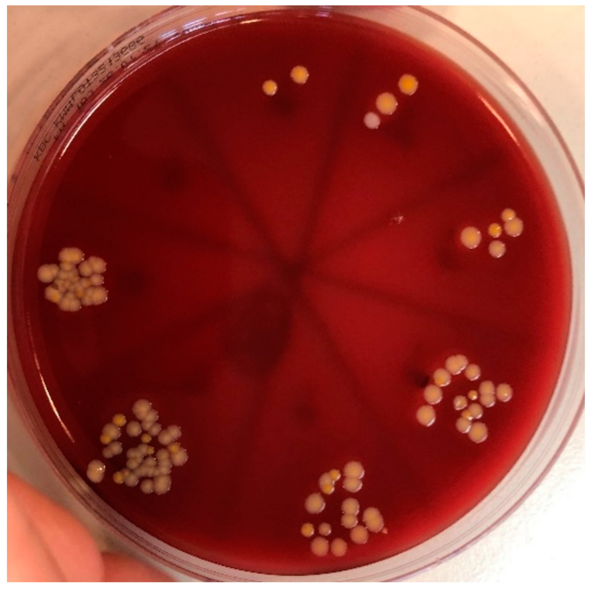 Biomedicines 11 01002 g005 Biomedicines 11 01002 g005