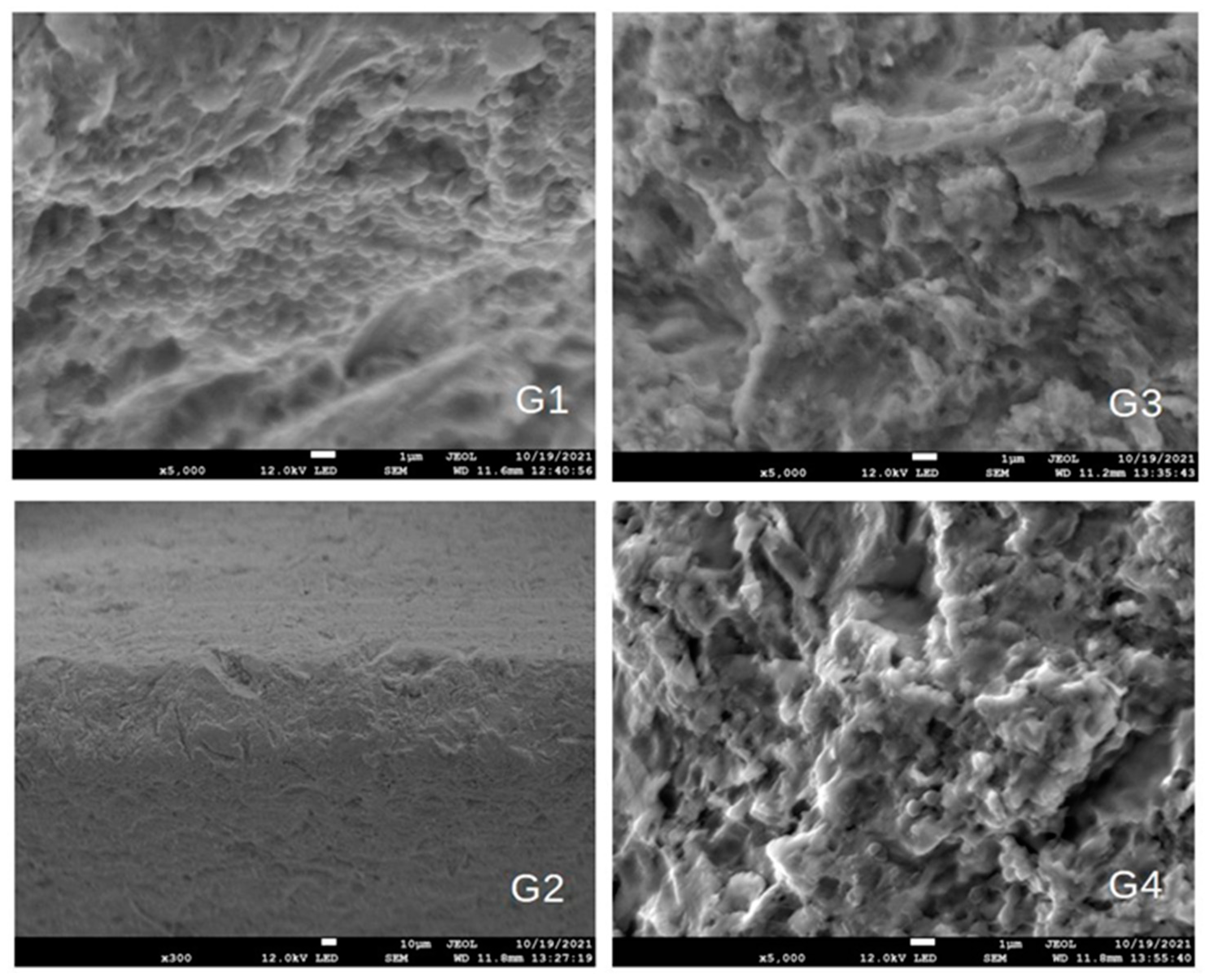 Biomedicines 11 01002 g006 Biomedicines 11 01002 g006