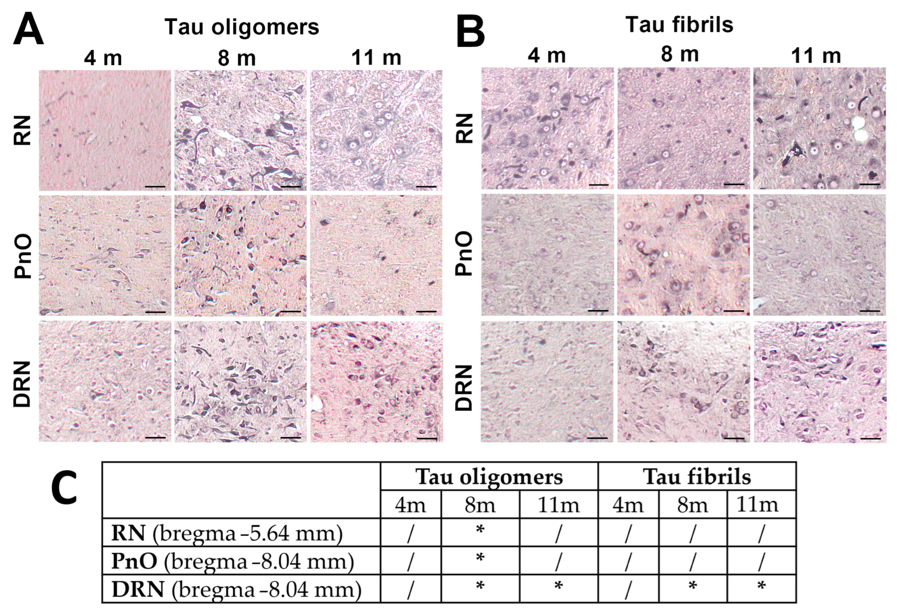 Biomedicines 11 01004 g002 Biomedicines 11 01004 g002