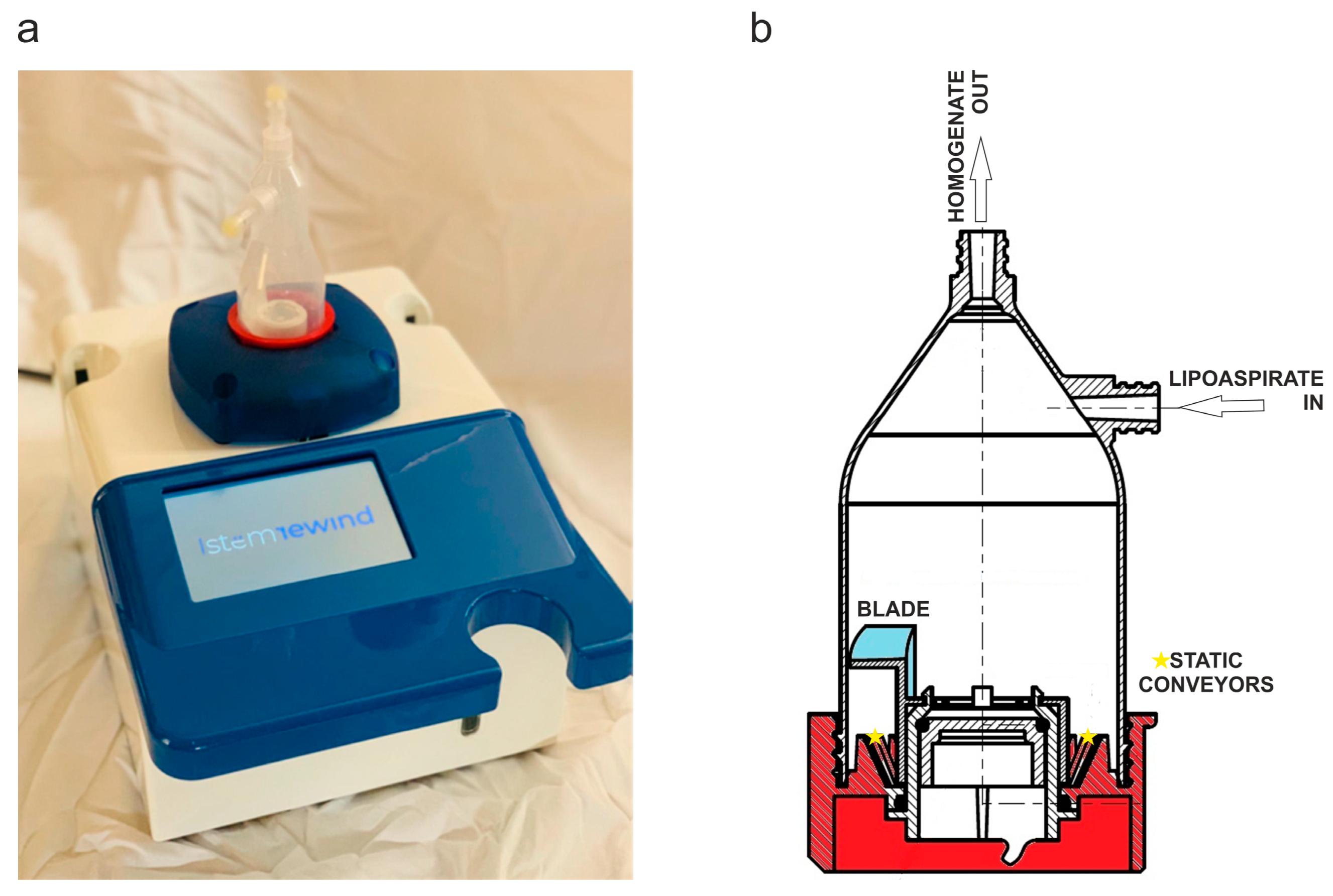 Biomedicines 11 01006 g001 Biomedicines 11 01006 g001