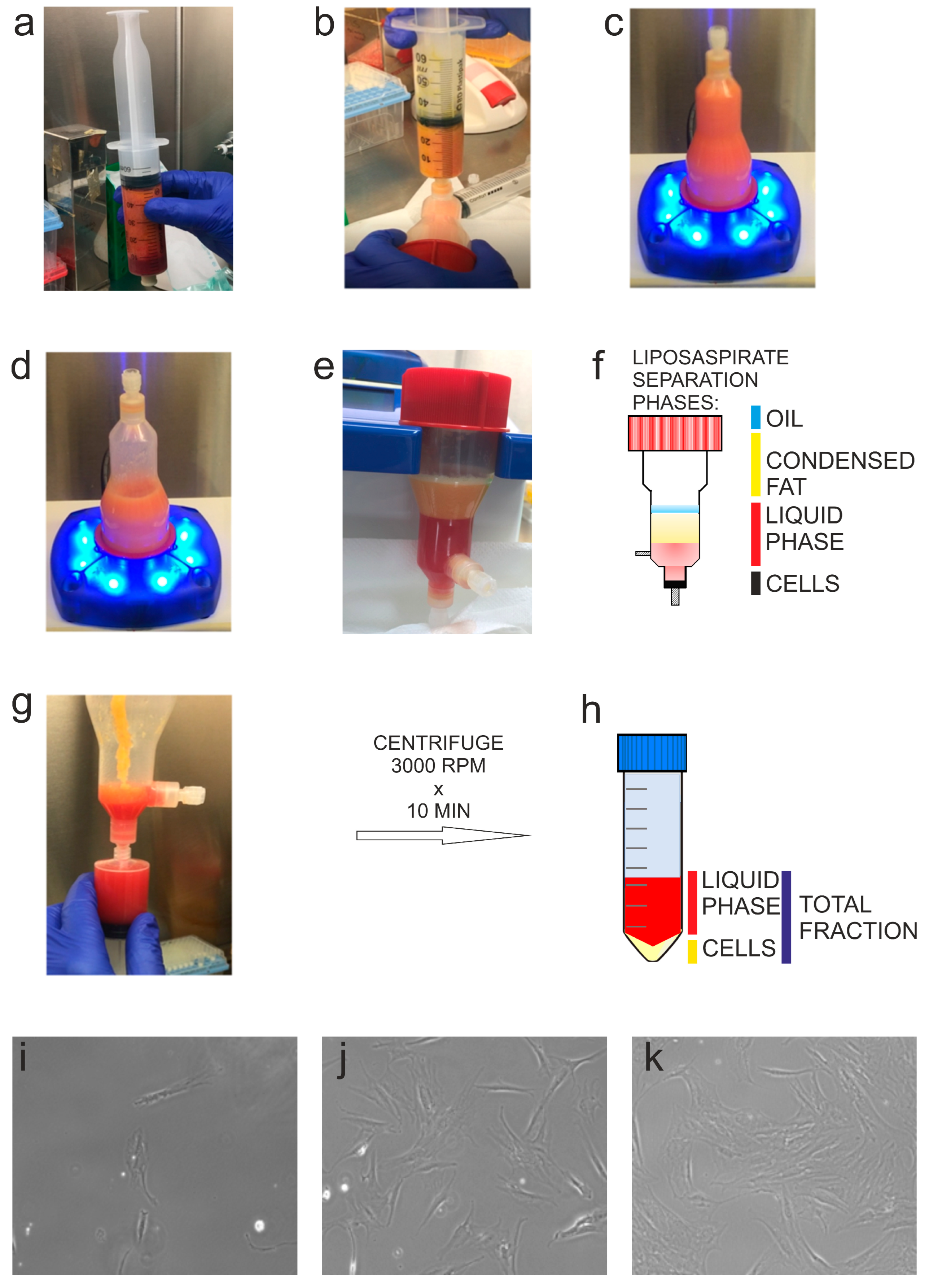 Biomedicines 11 01006 g002 Biomedicines 11 01006 g002