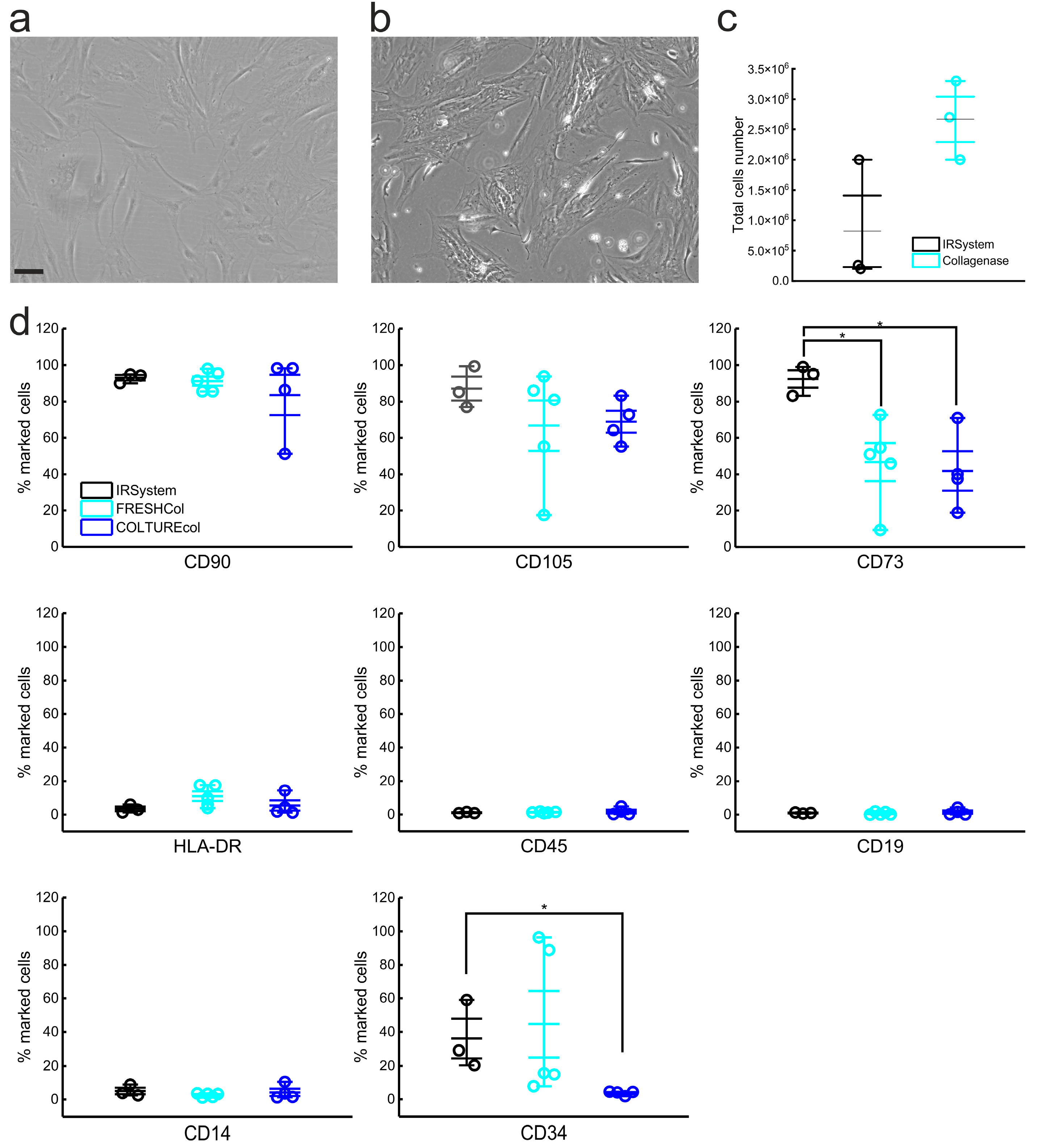 Biomedicines 11 01006 g005 Biomedicines 11 01006 g005