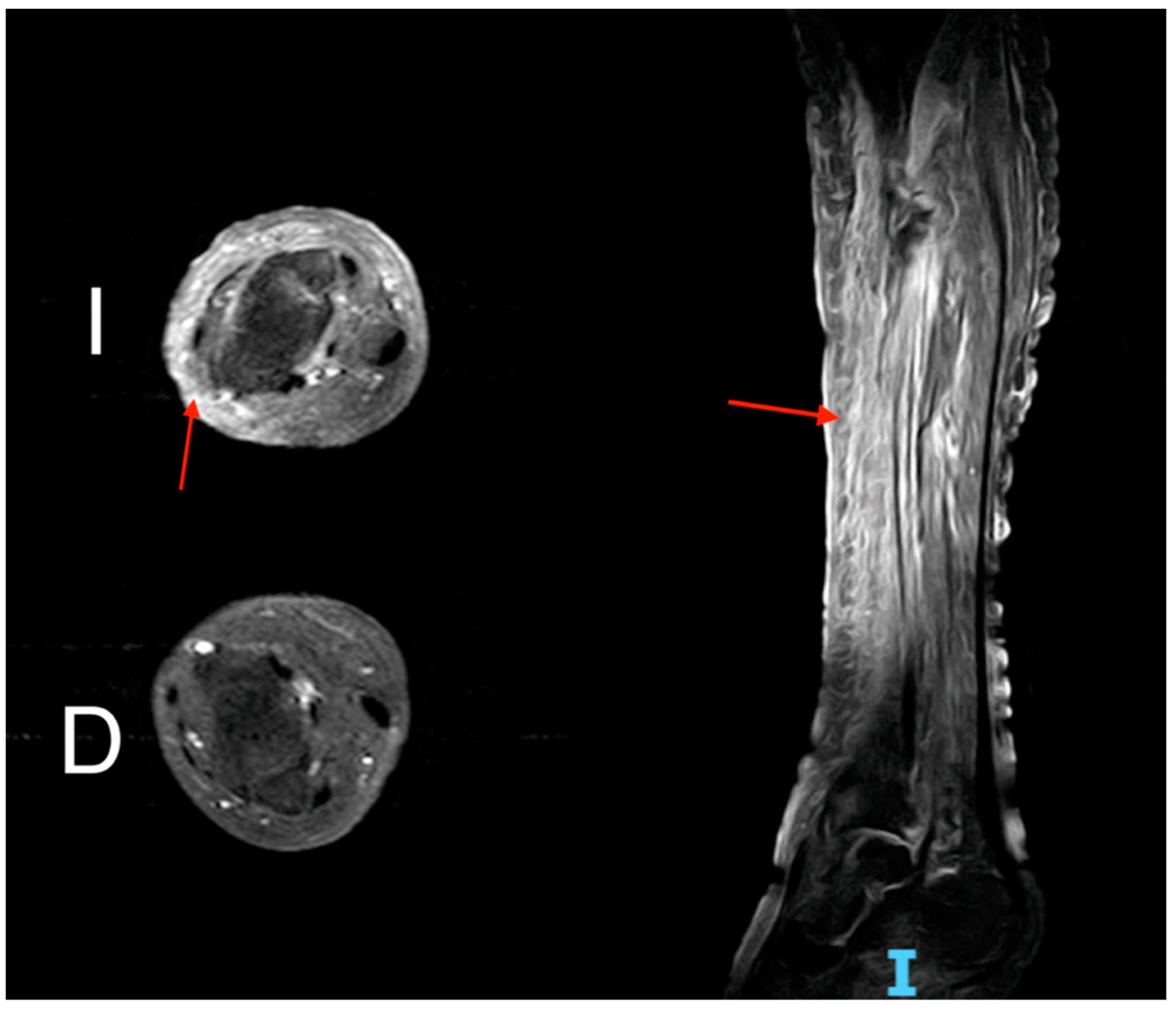 Biomedicines 11 01007 g002 Biomedicines 11 01007 g002