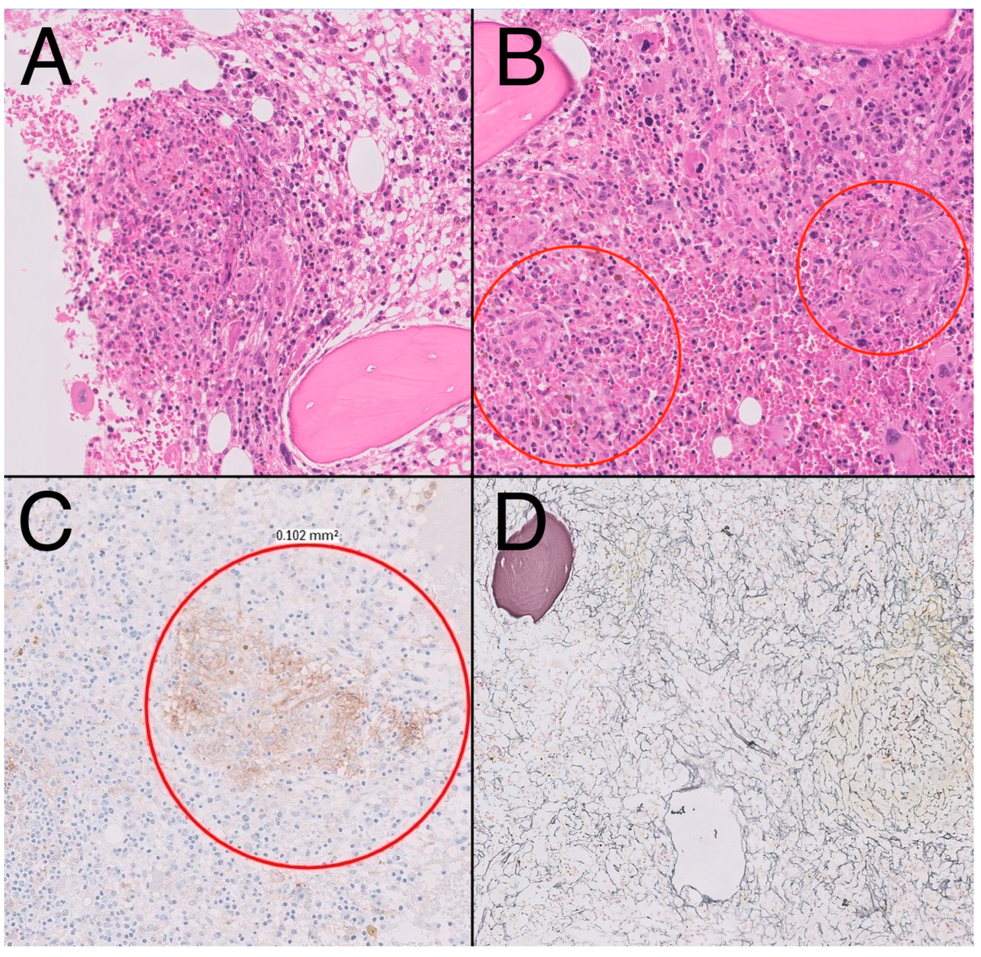 Biomedicines 11 01007 g004 Biomedicines 11 01007 g004