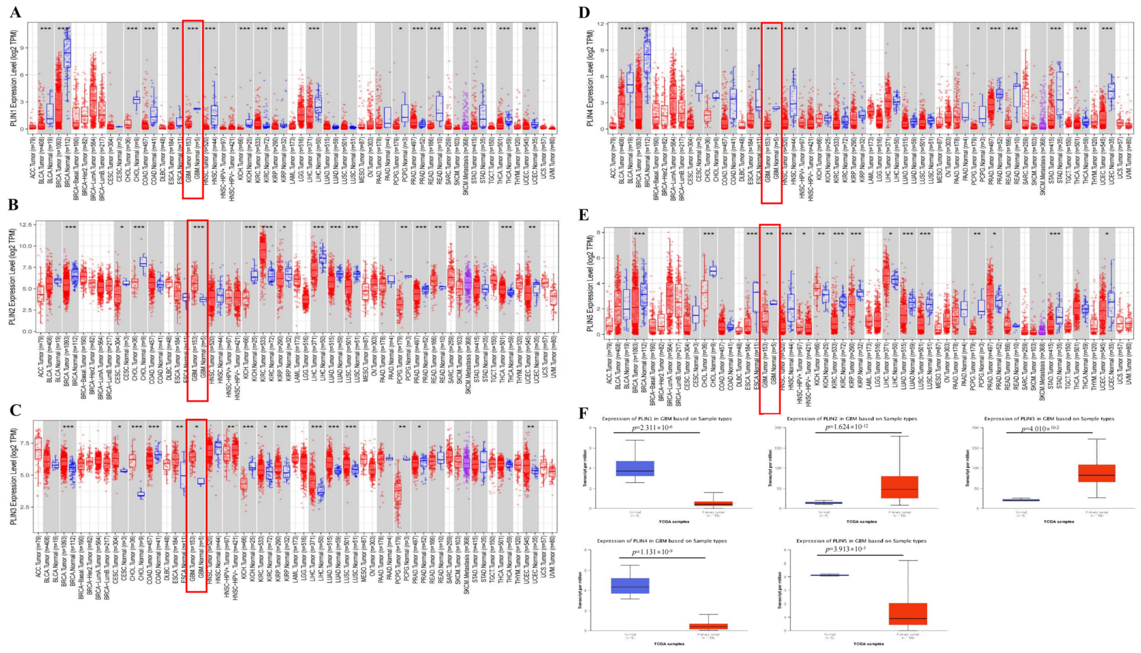 Biomedicines 11 01009 g001 Biomedicines 11 01009 g001
