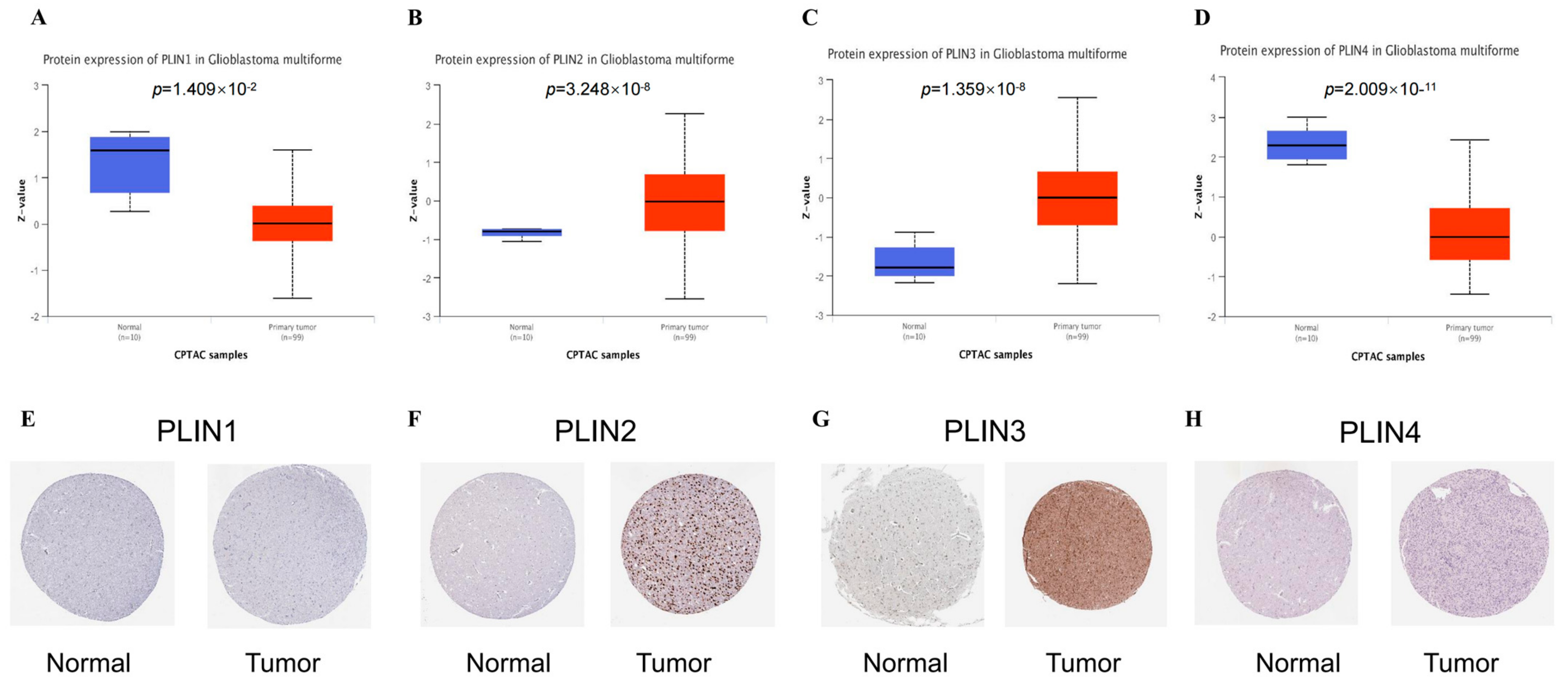 Biomedicines 11 01009 g002 Biomedicines 11 01009 g002