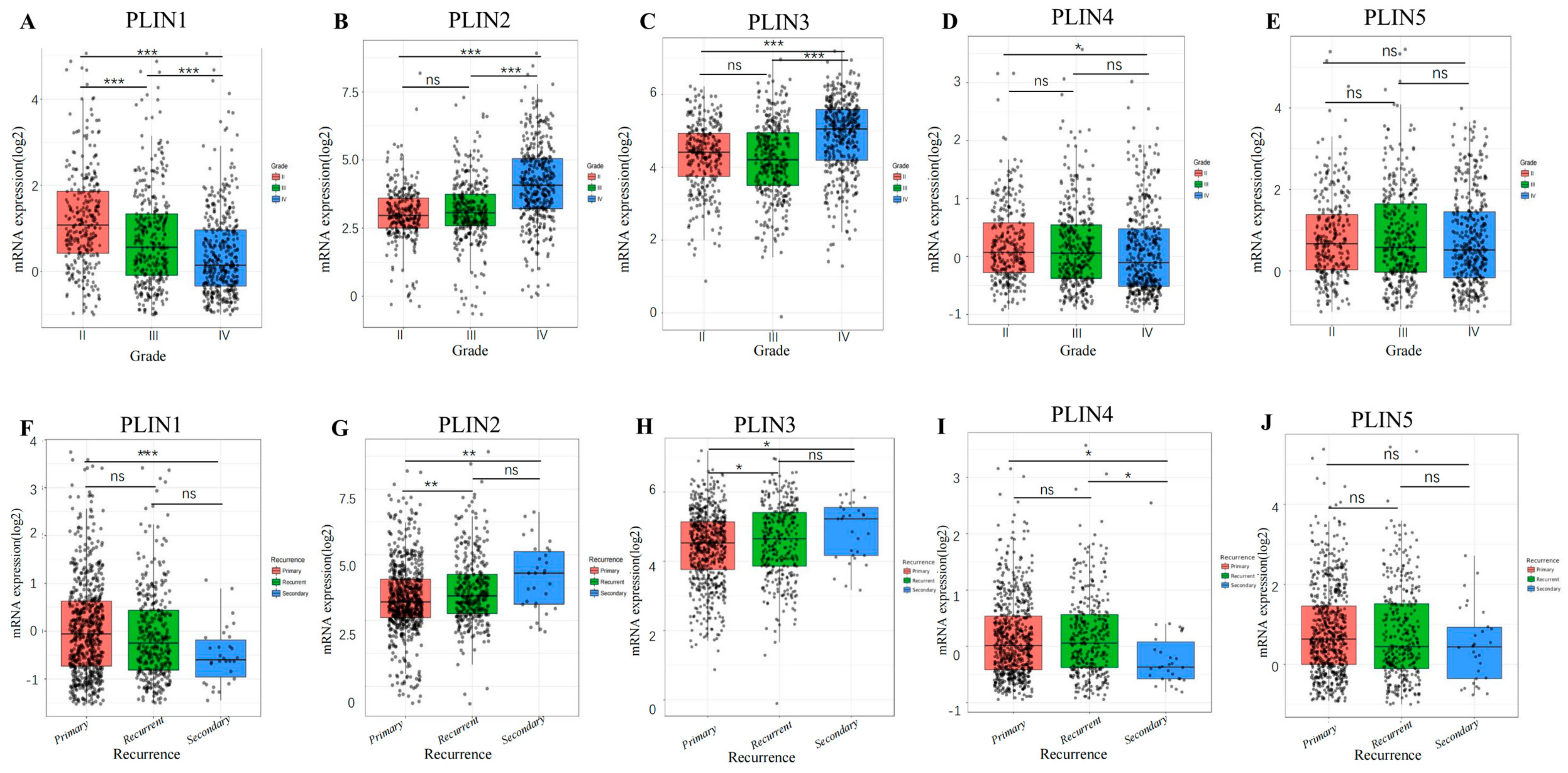 Biomedicines 11 01009 g003 Biomedicines 11 01009 g003