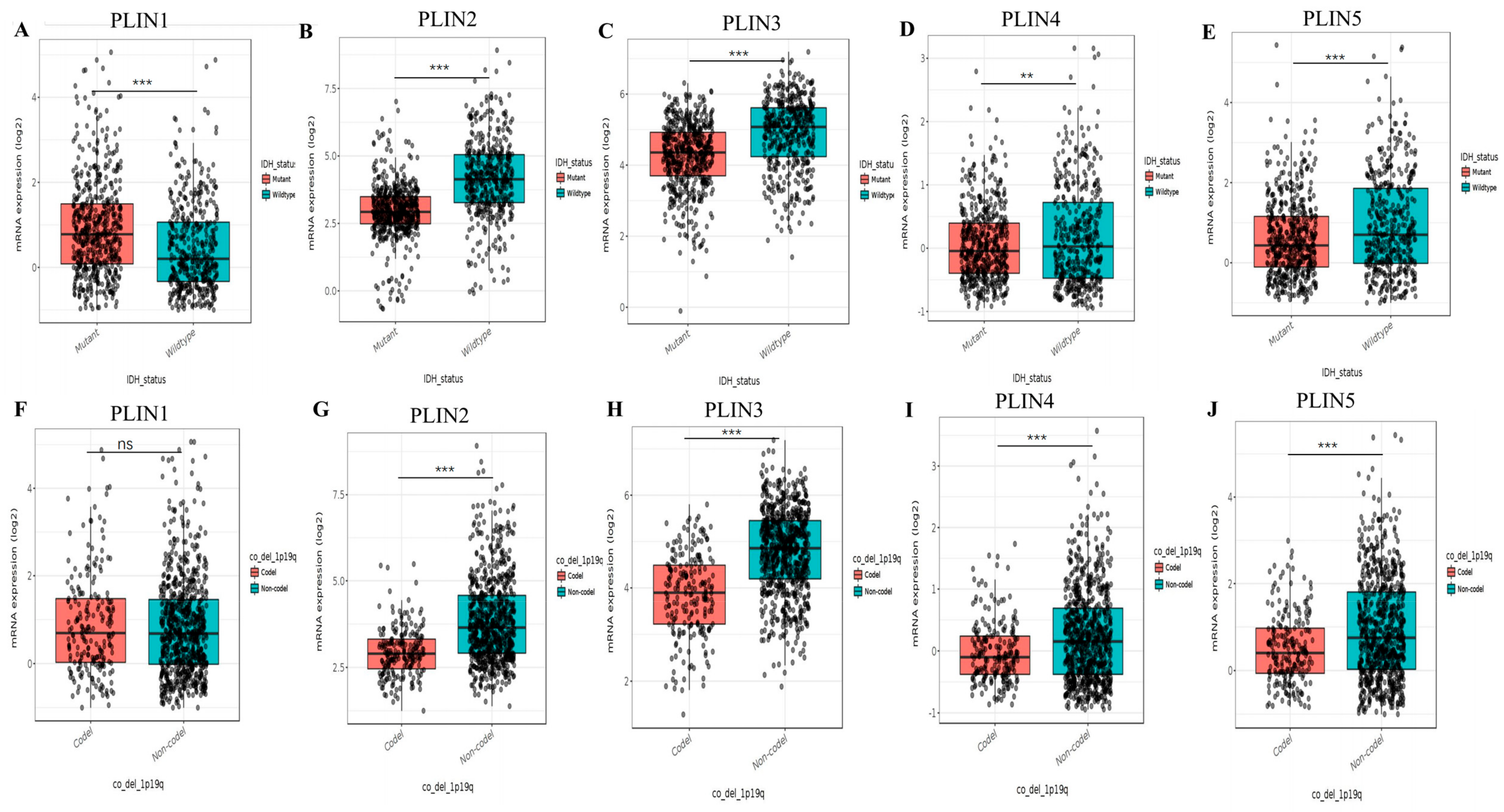 Biomedicines 11 01009 g004 Biomedicines 11 01009 g004