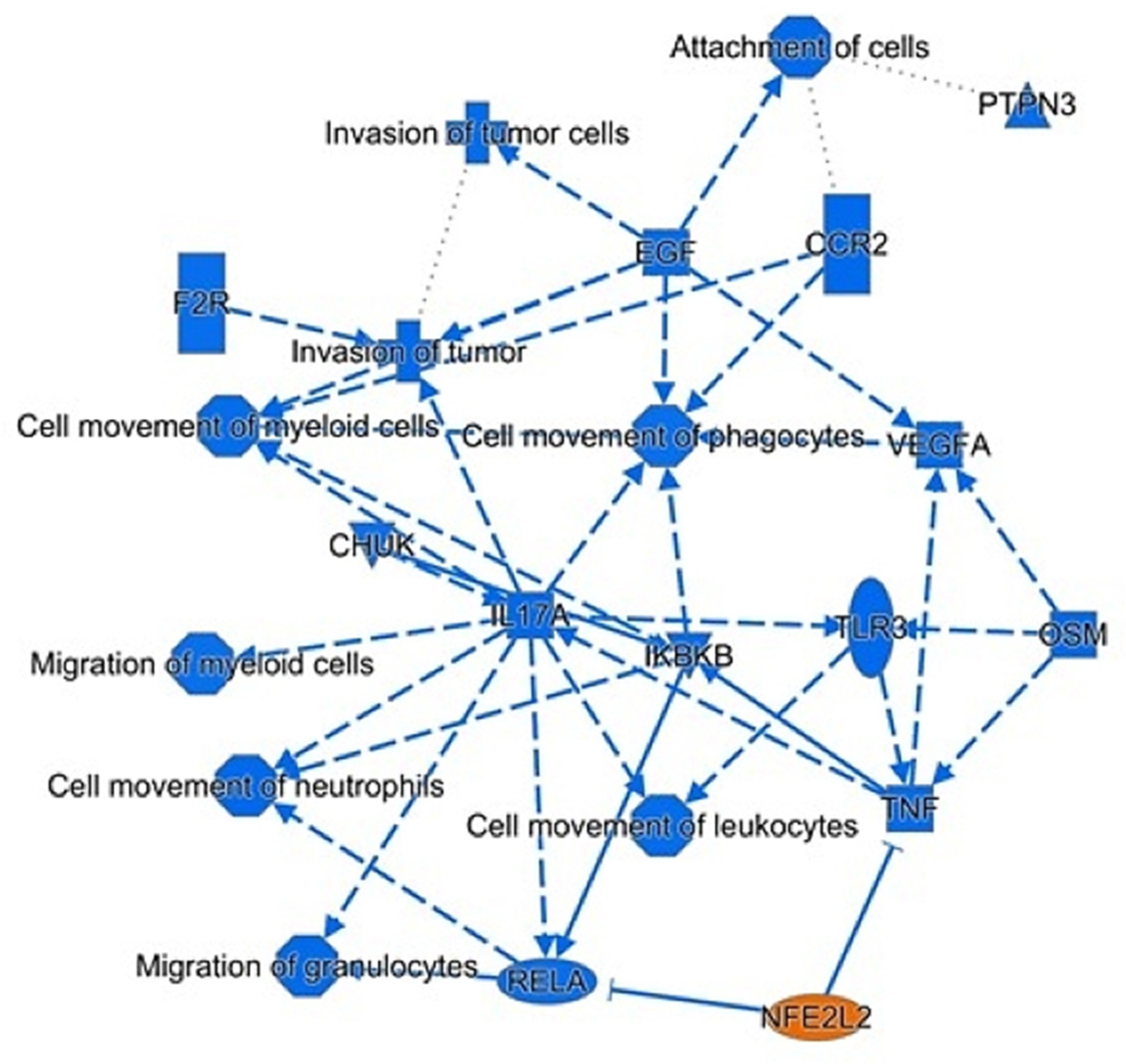 Biomedicines 11 01010 g003 Biomedicines 11 01010 g003
