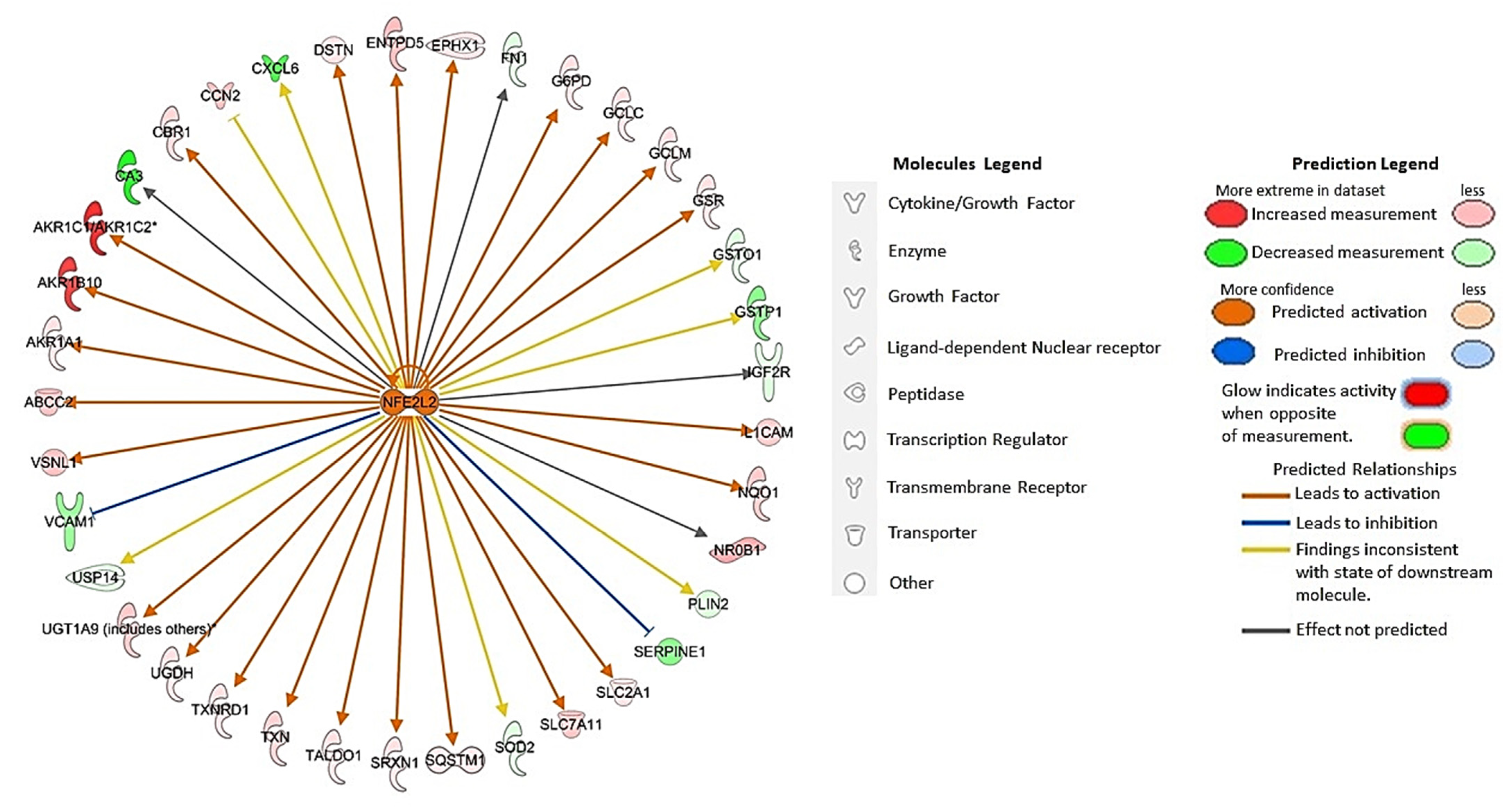 Biomedicines 11 01010 g004 Biomedicines 11 01010 g004