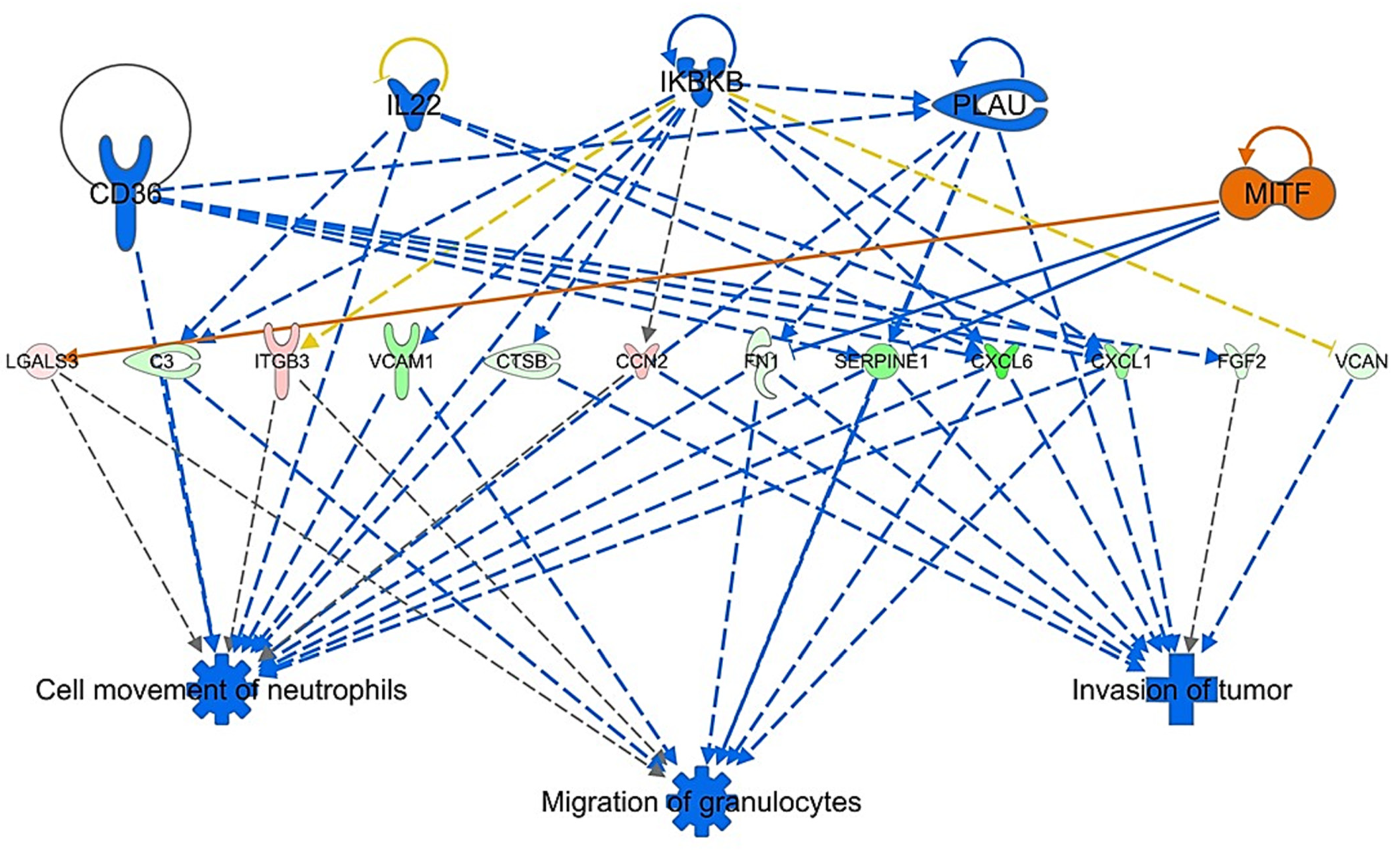 Biomedicines 11 01010 g007 Biomedicines 11 01010 g007