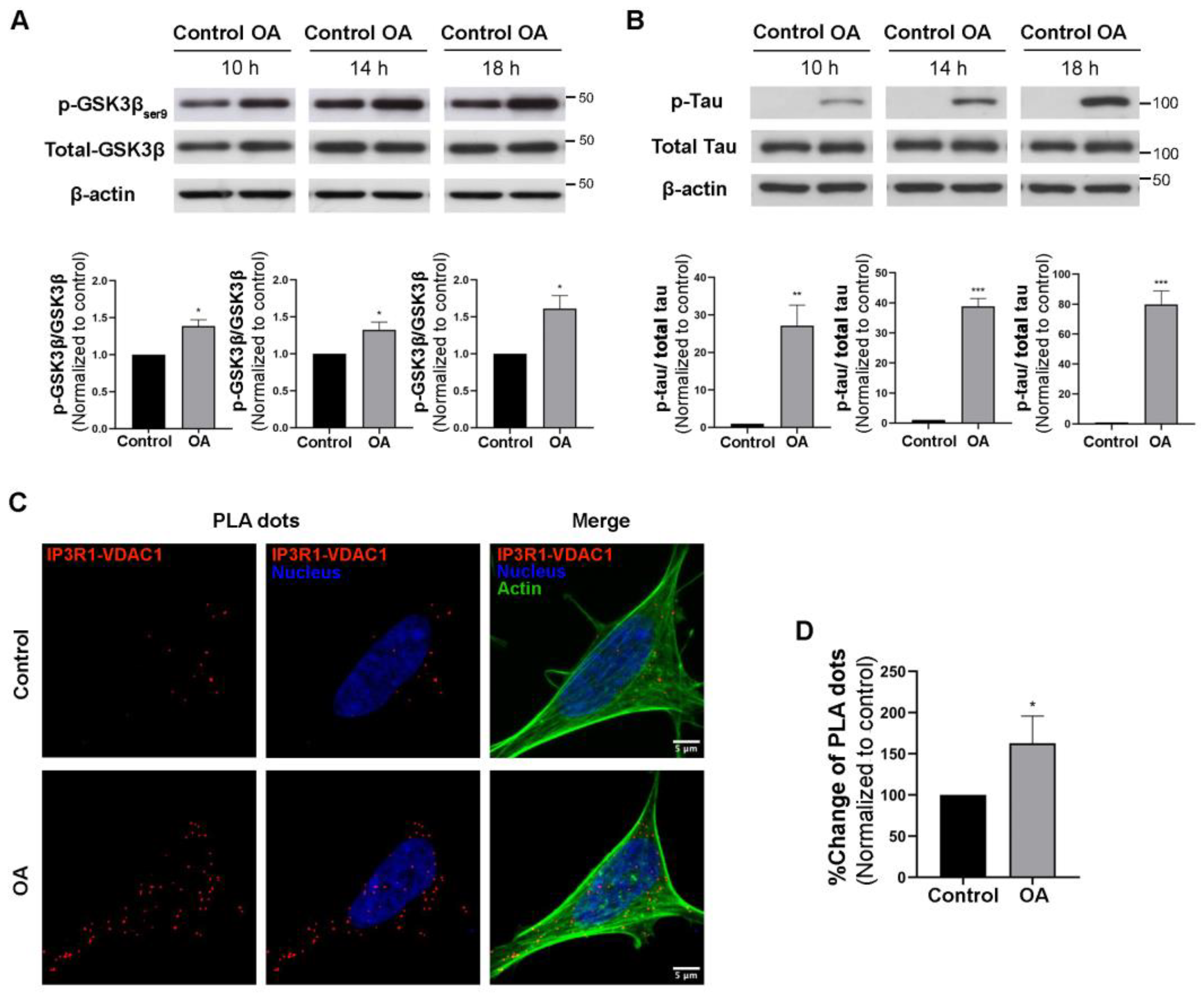 Biomedicines 11 01011 g001 Biomedicines 11 01011 g001
