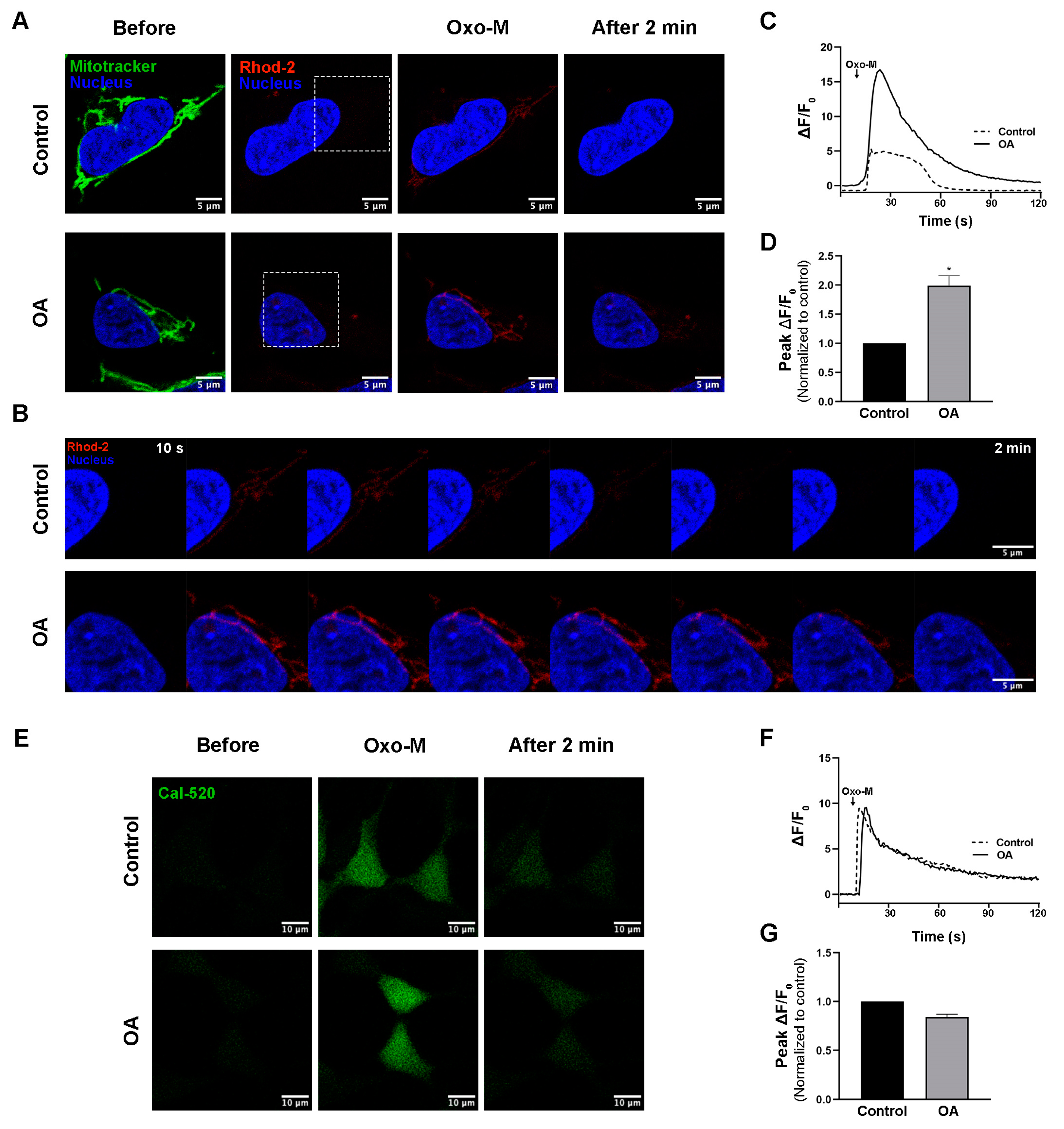 Biomedicines 11 01011 g002 Biomedicines 11 01011 g002