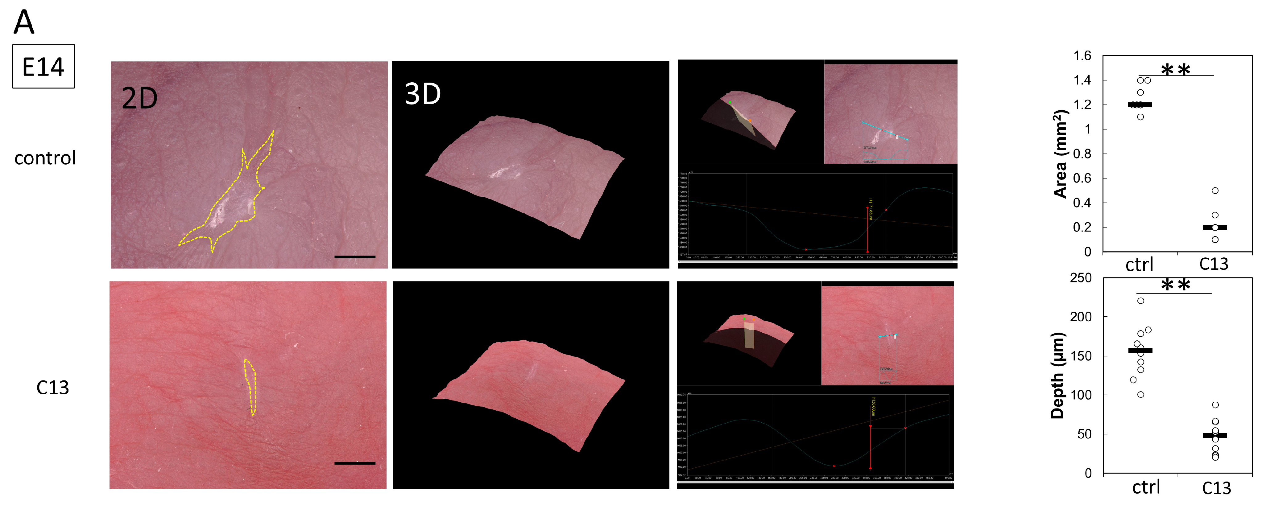 Biomedicines 11 01013 g001a