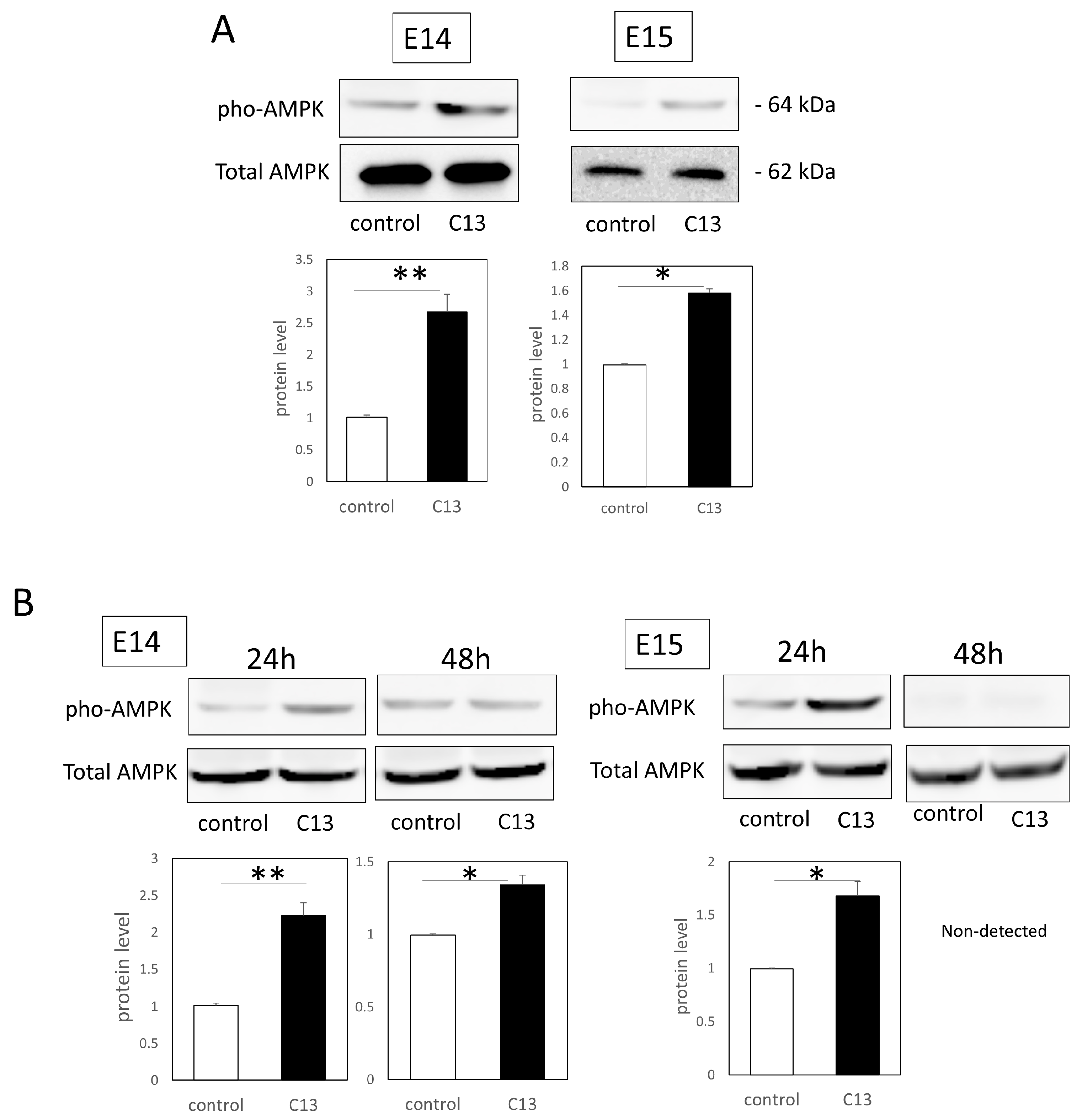 Biomedicines 11 01013 g002