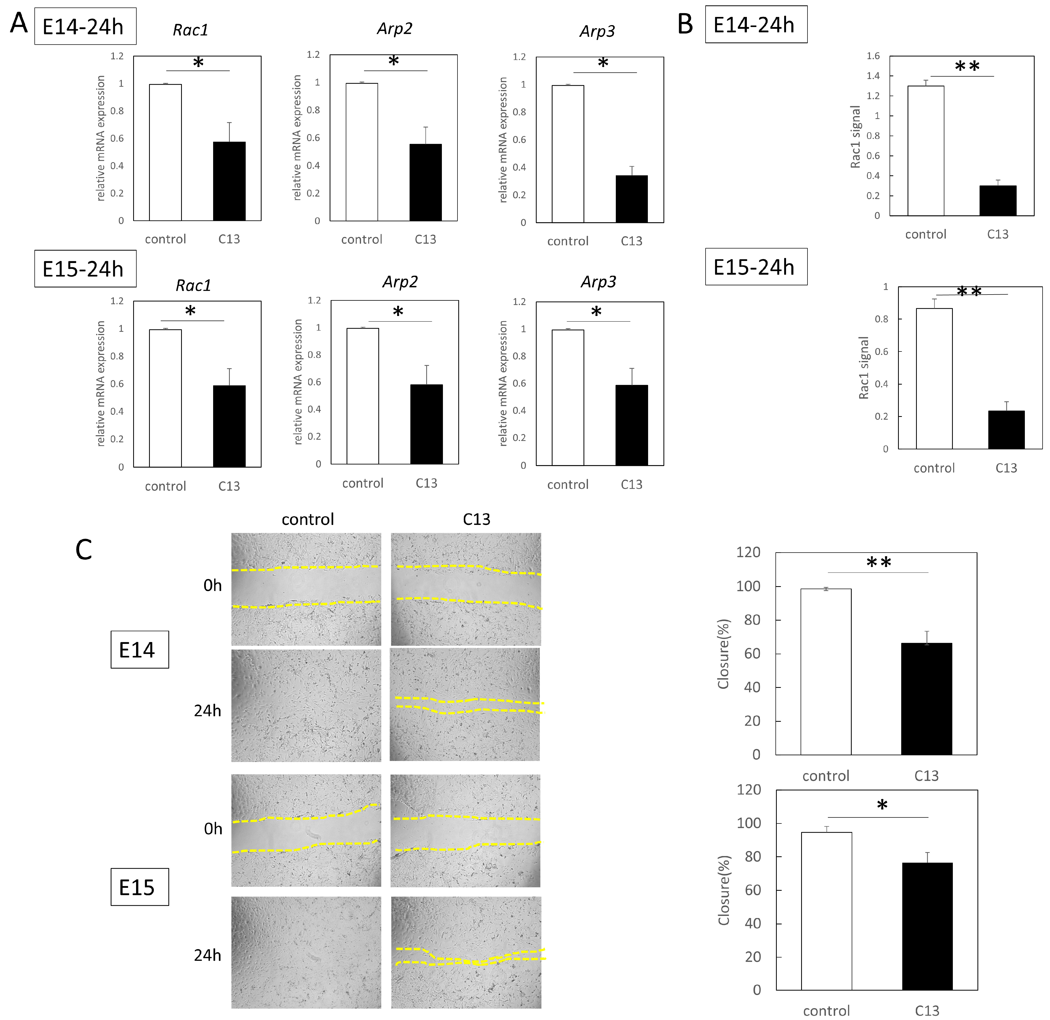 Biomedicines 11 01013 g003