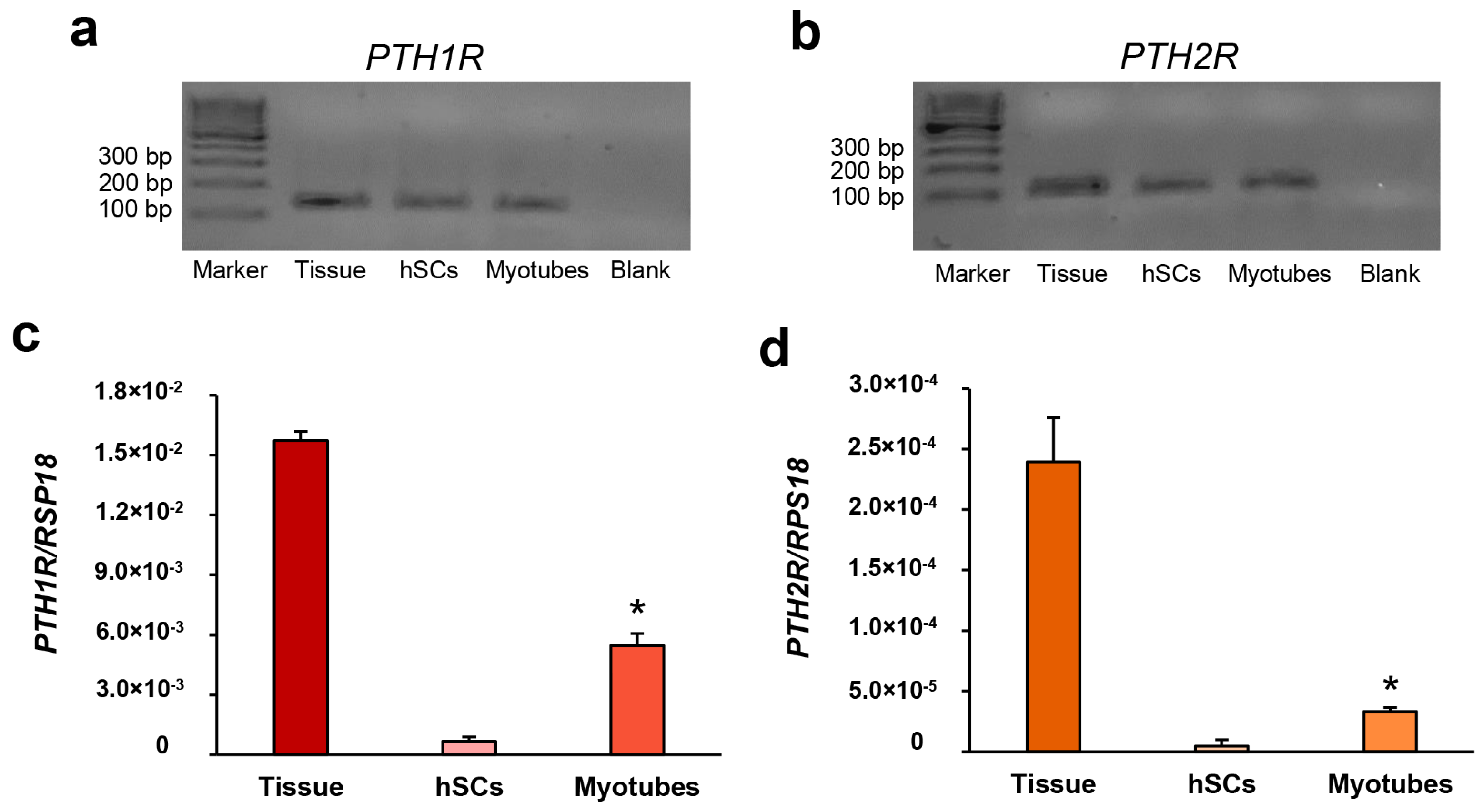 Biomedicines 11 01017 g002 Biomedicines 11 01017 g002