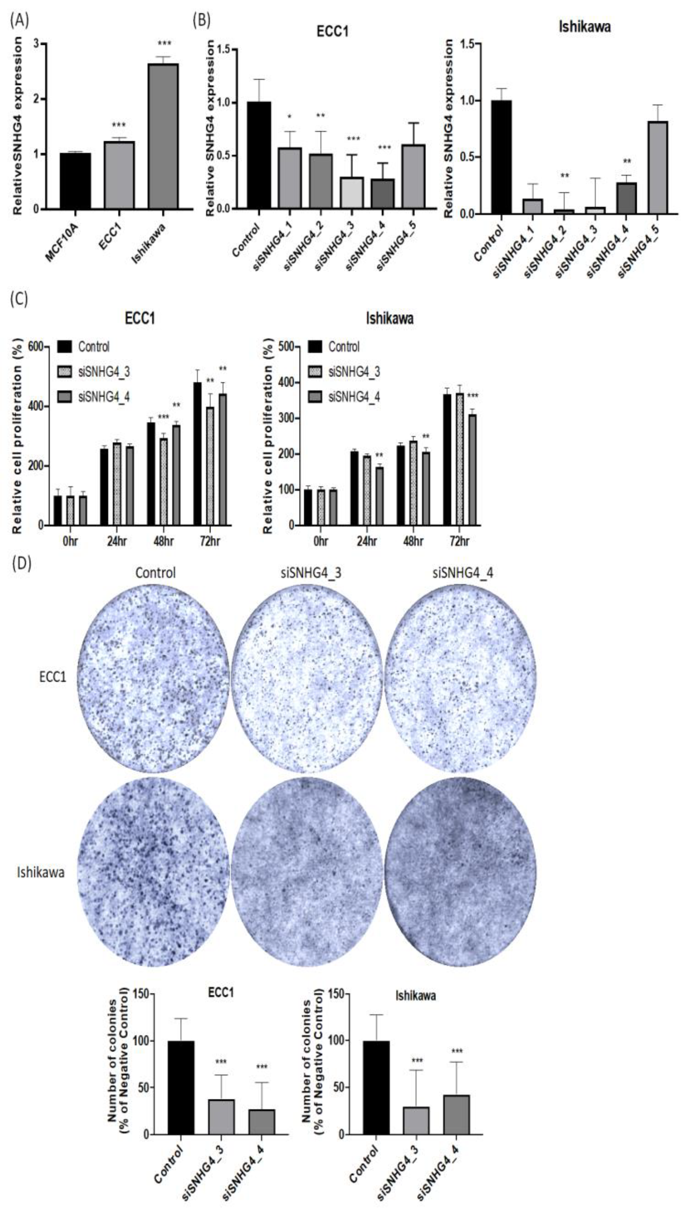 Biomedicines 11 01018 g002a Biomedicines 11 01018 g002a