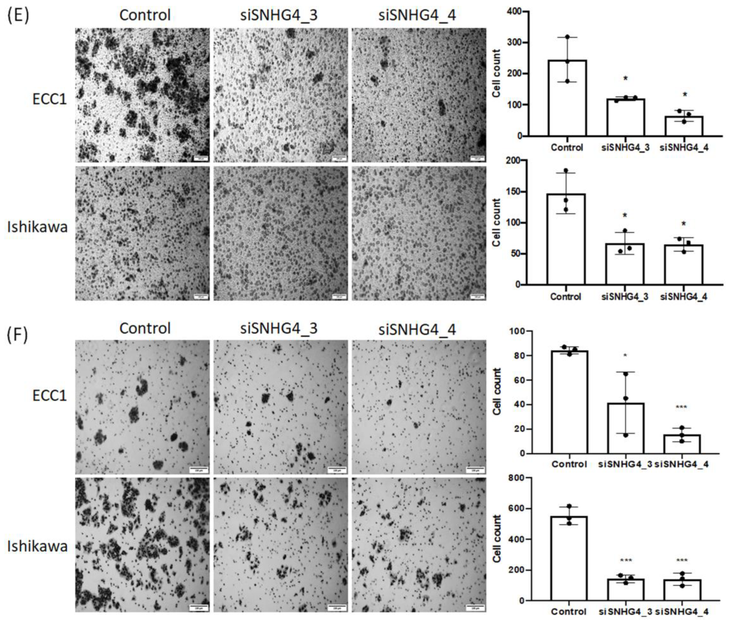 Biomedicines 11 01018 g002b Biomedicines 11 01018 g002b