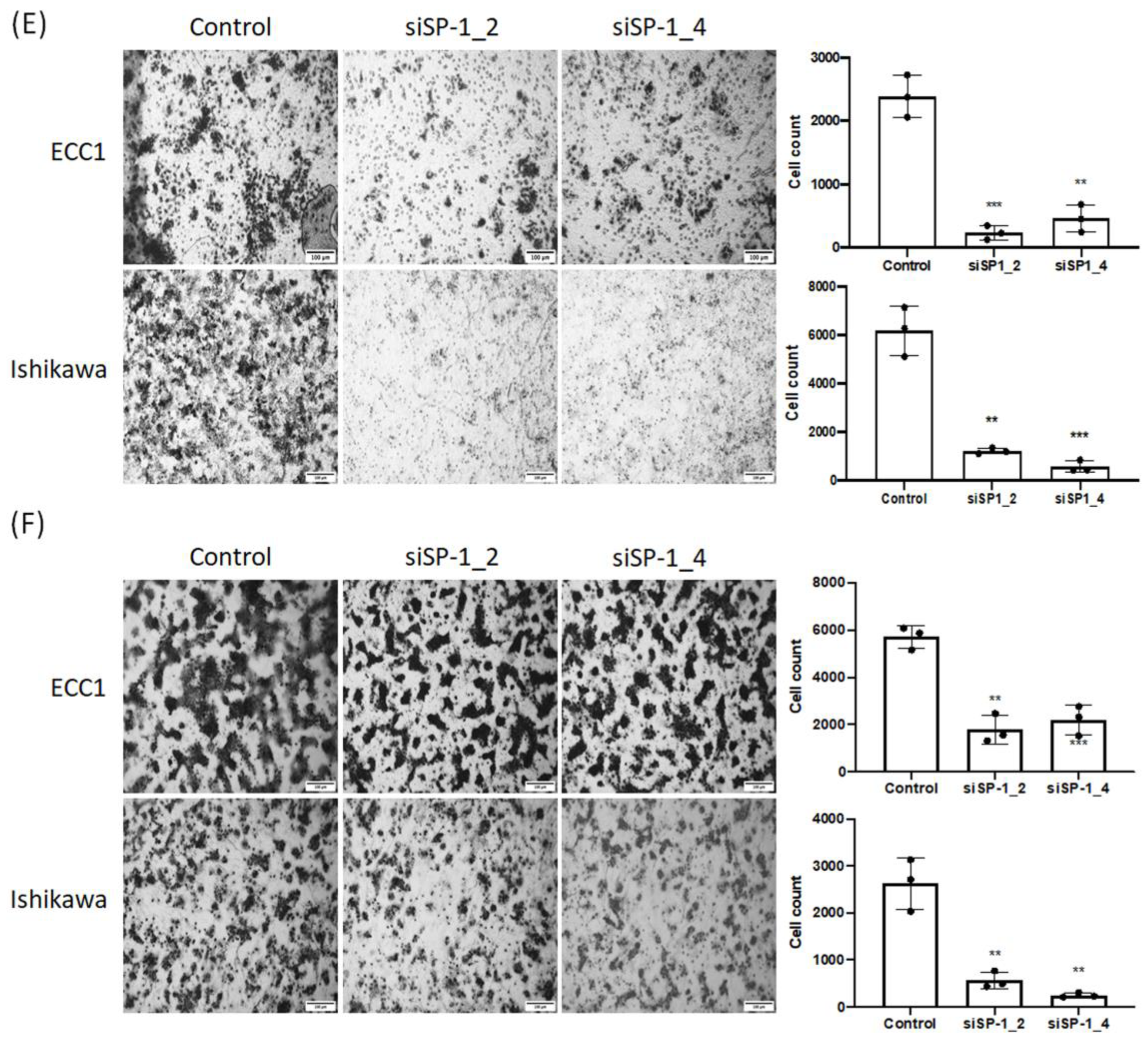 Biomedicines 11 01018 g004b Biomedicines 11 01018 g004b