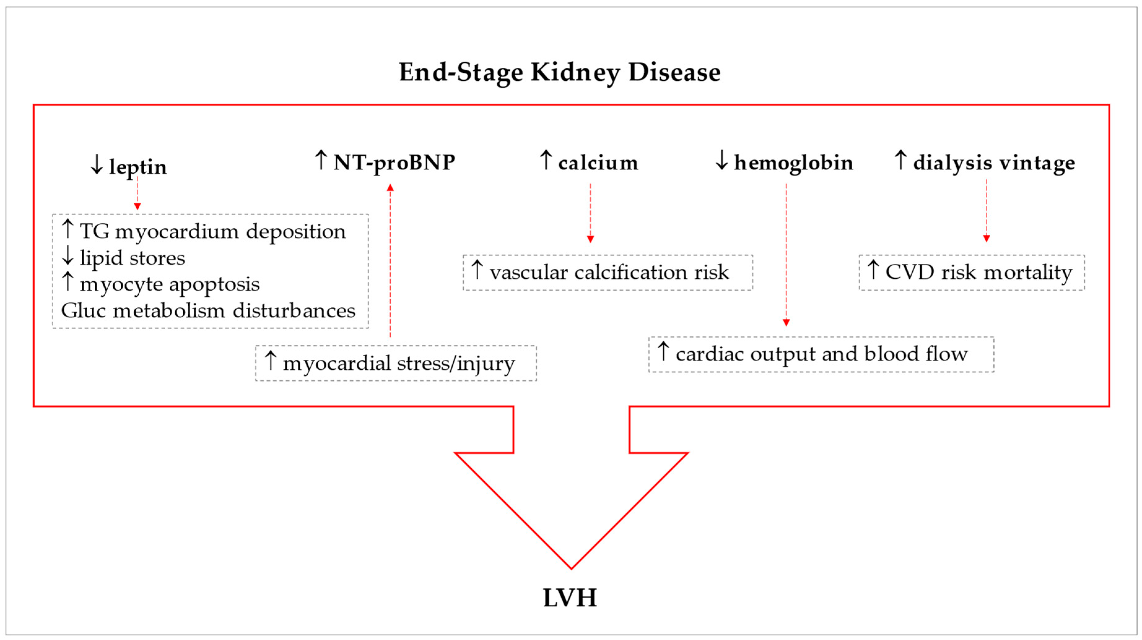 Biomedicines 11 01026 g004