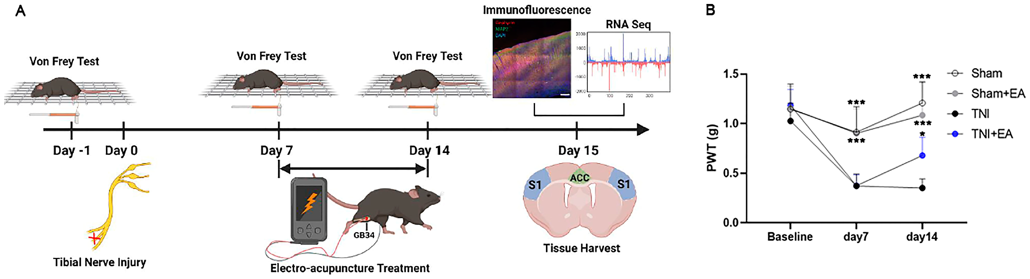 Biomedicines 11 01030 g001