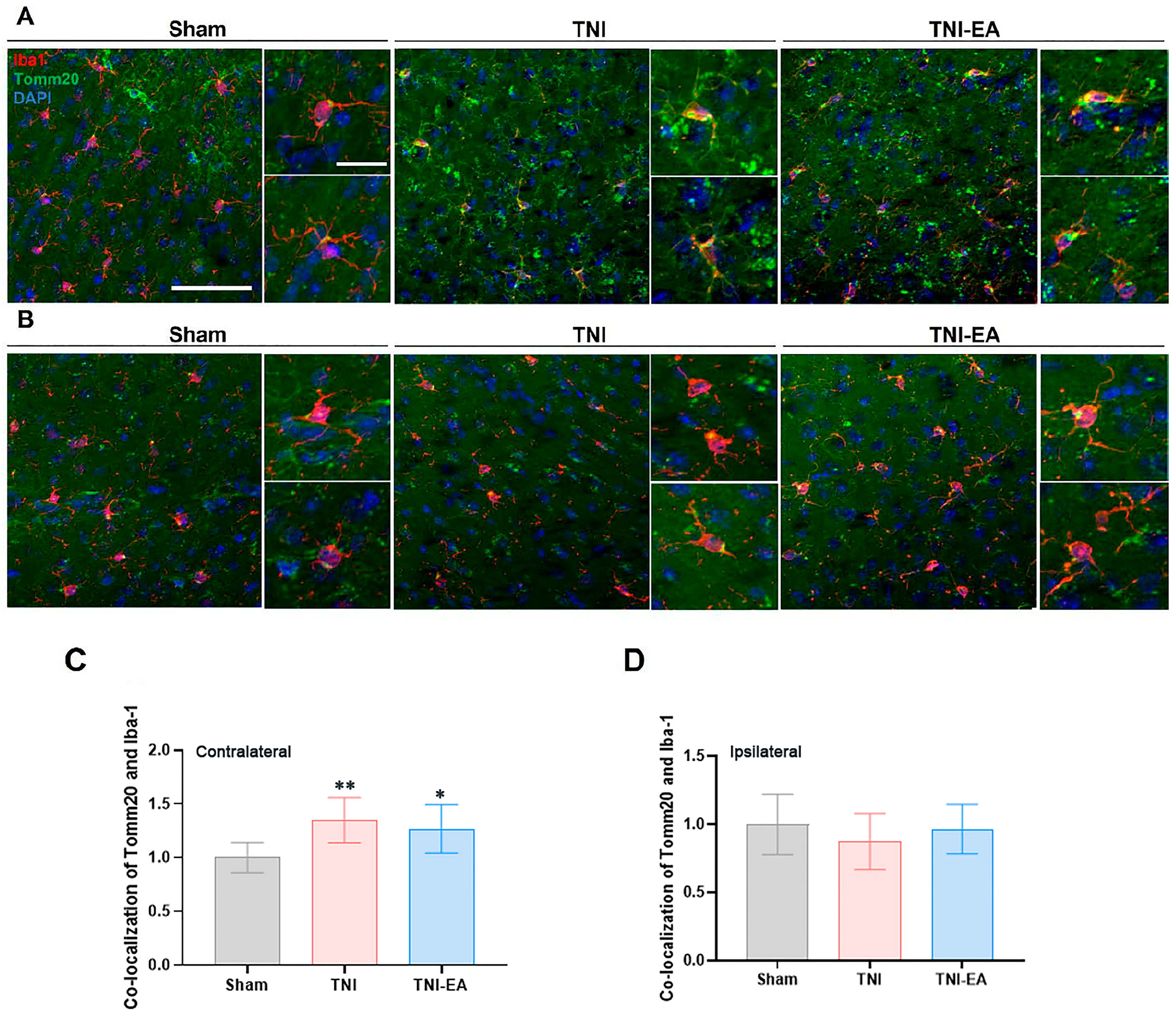 Biomedicines 11 01030 g007