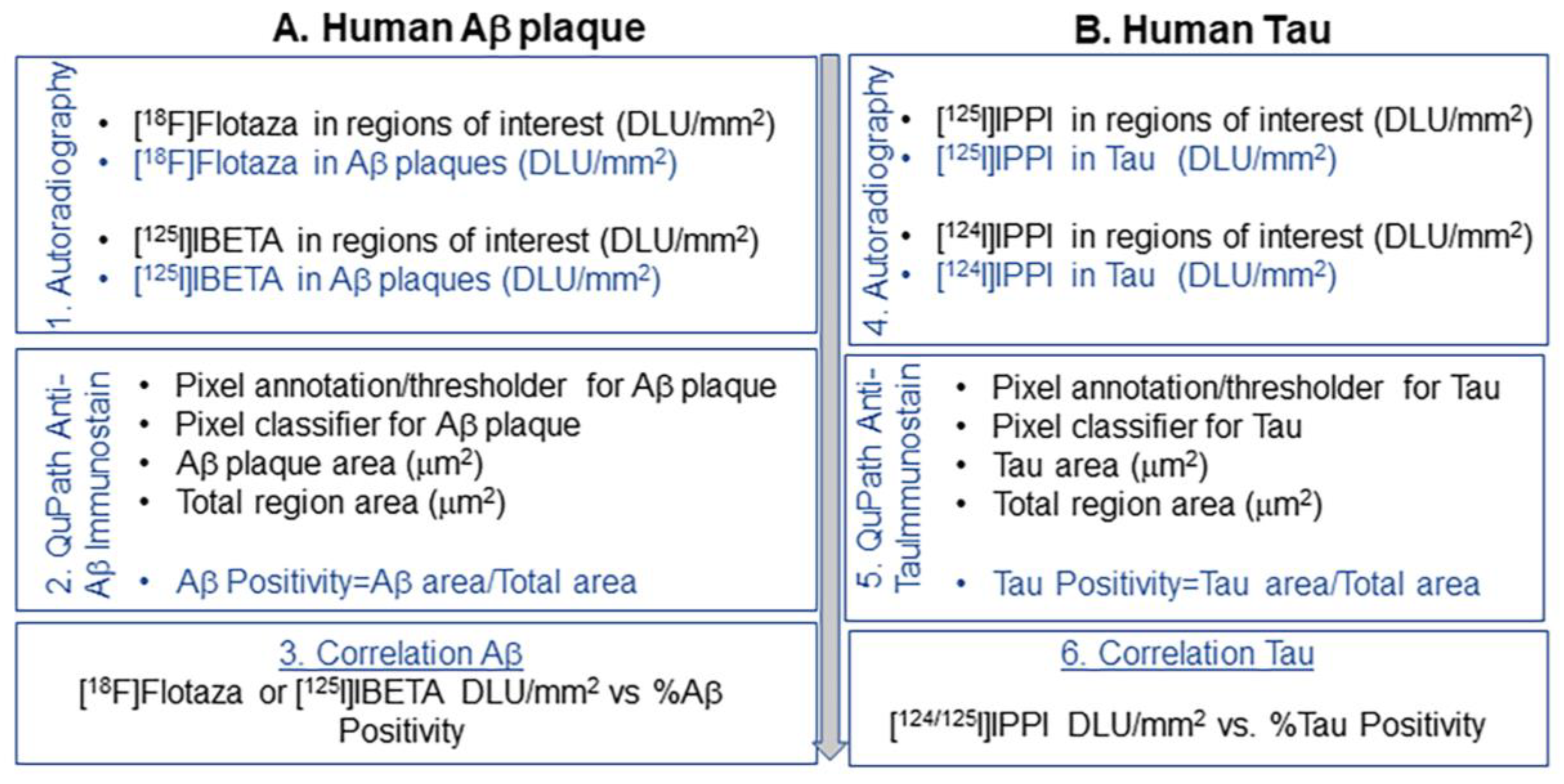 Biomedicines 11 01033 g001