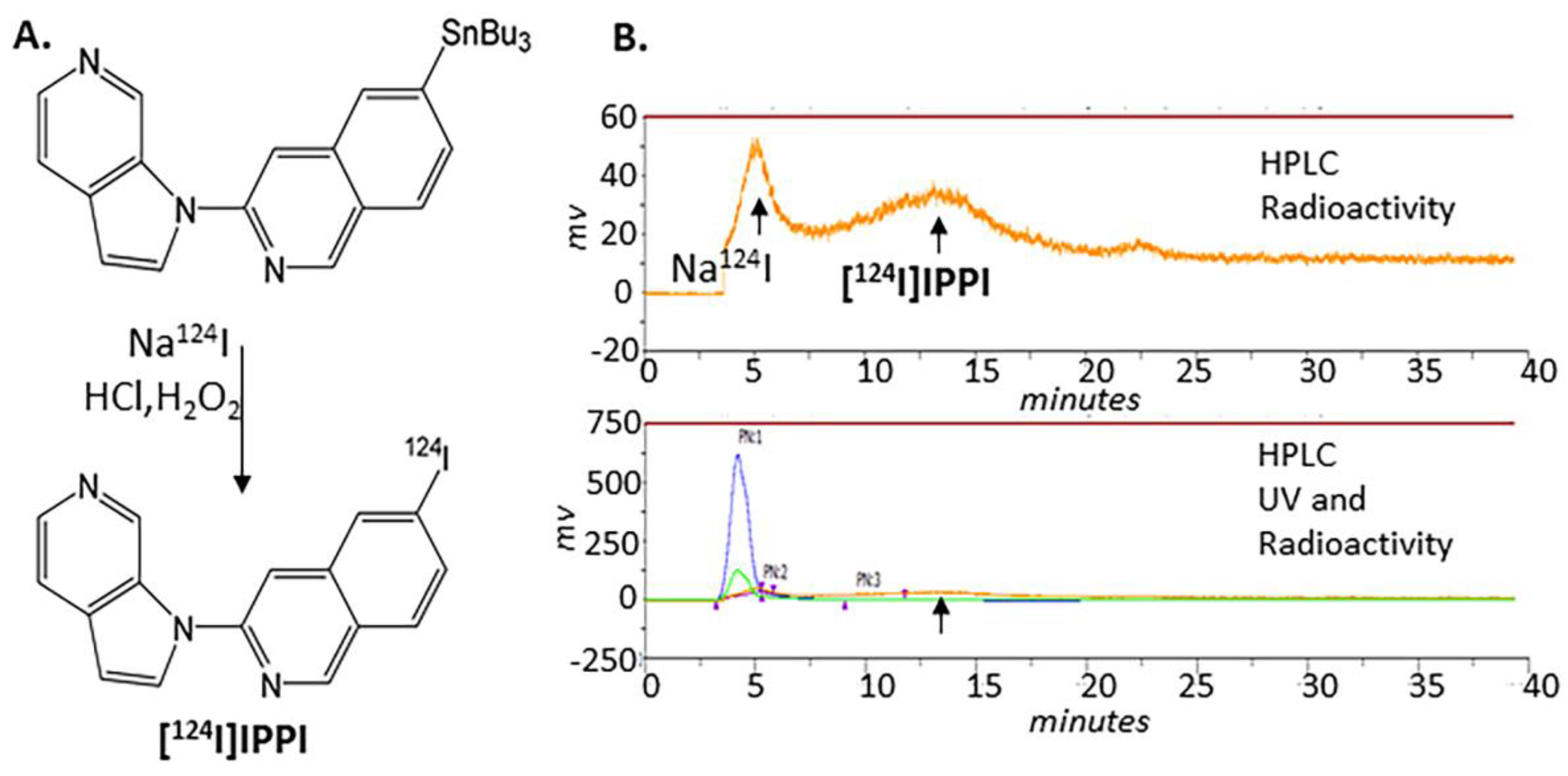Biomedicines 11 01033 g002