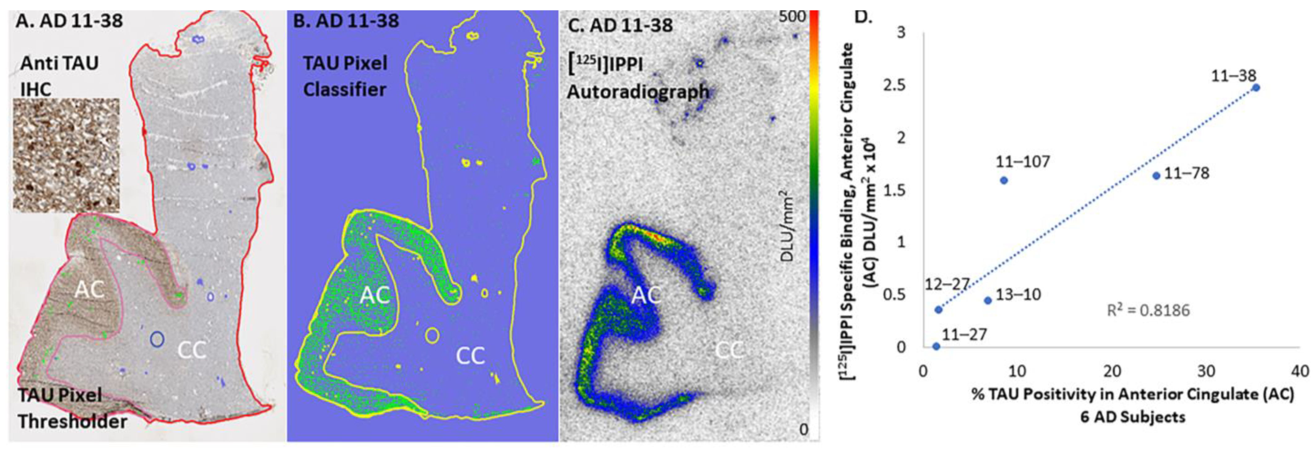 Biomedicines 11 01033 g009