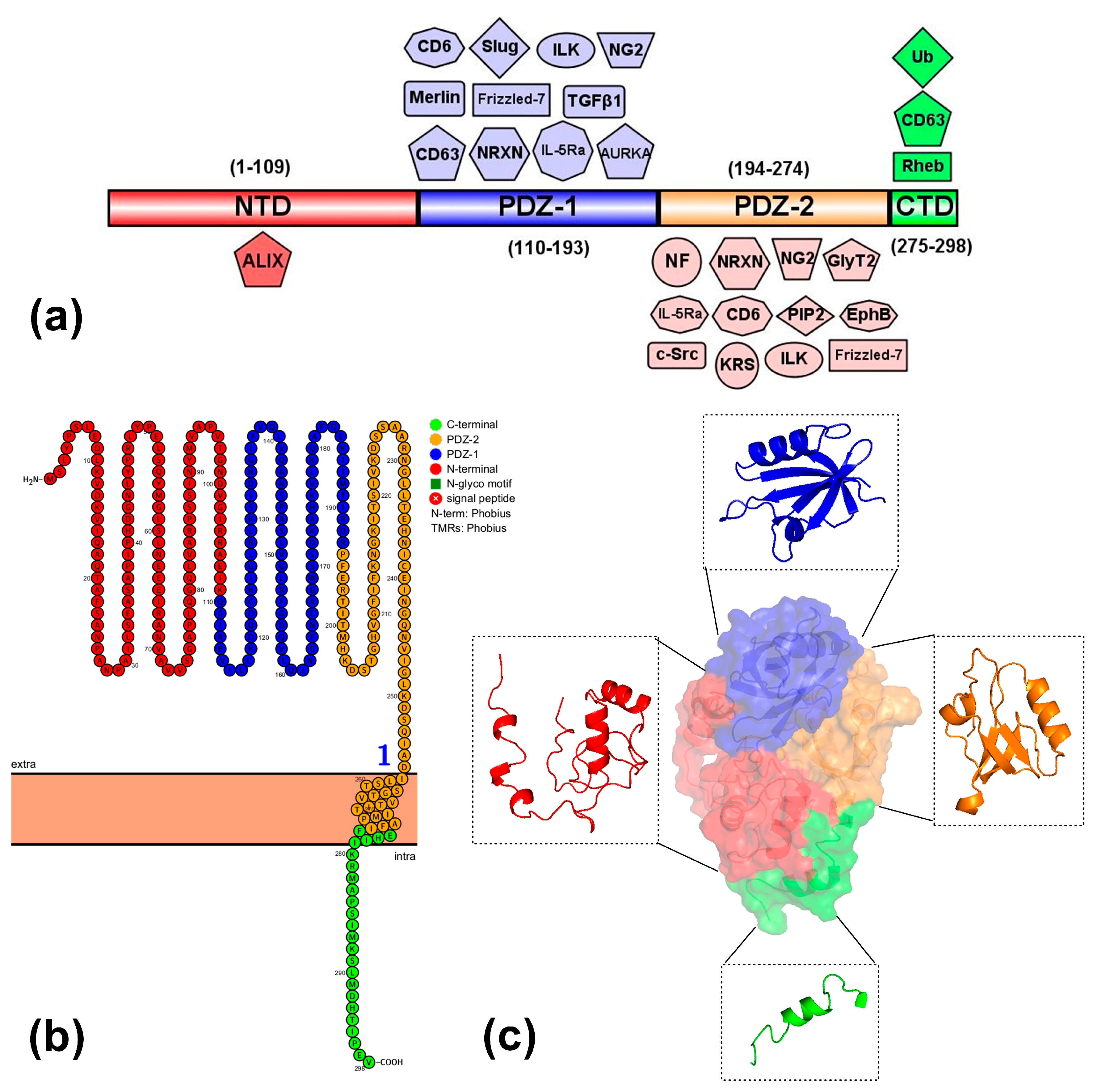 Biomedicines 11 01034 g001 Biomedicines 11 01034 g001