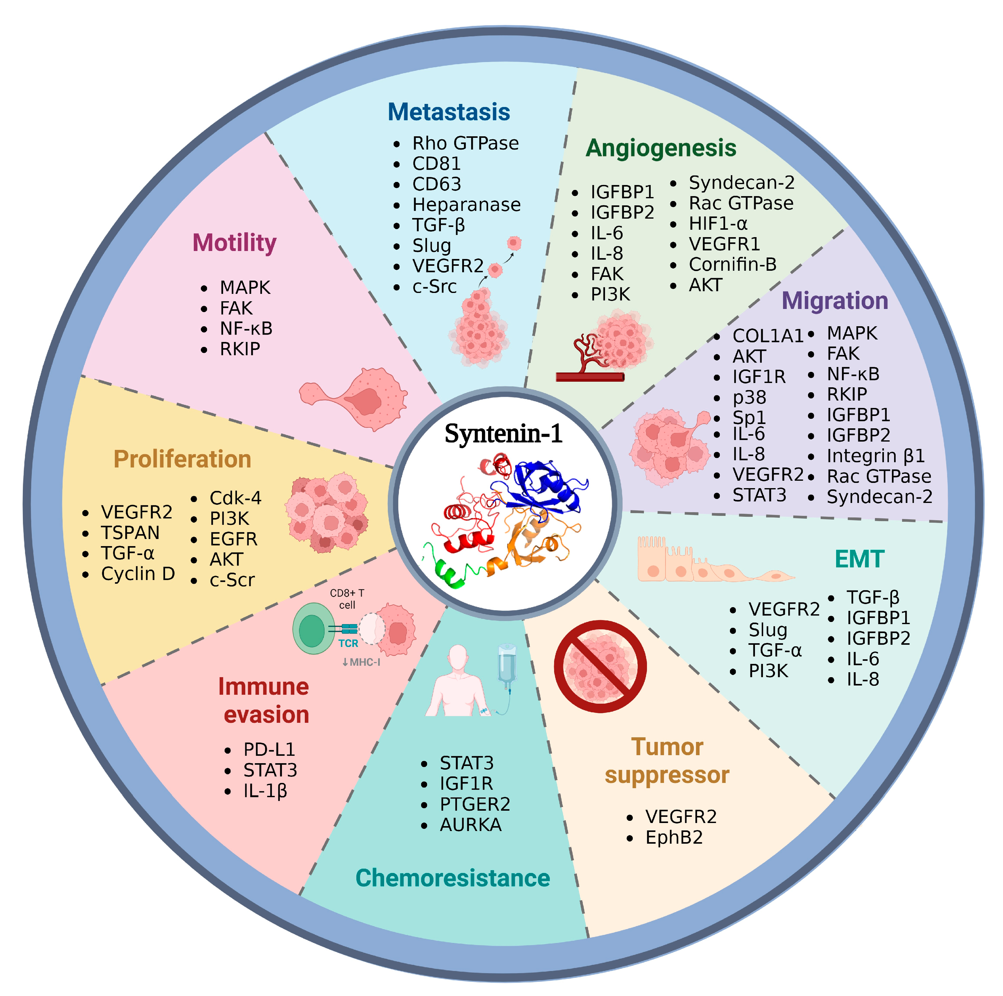 Biomedicines 11 01034 g003 Biomedicines 11 01034 g003