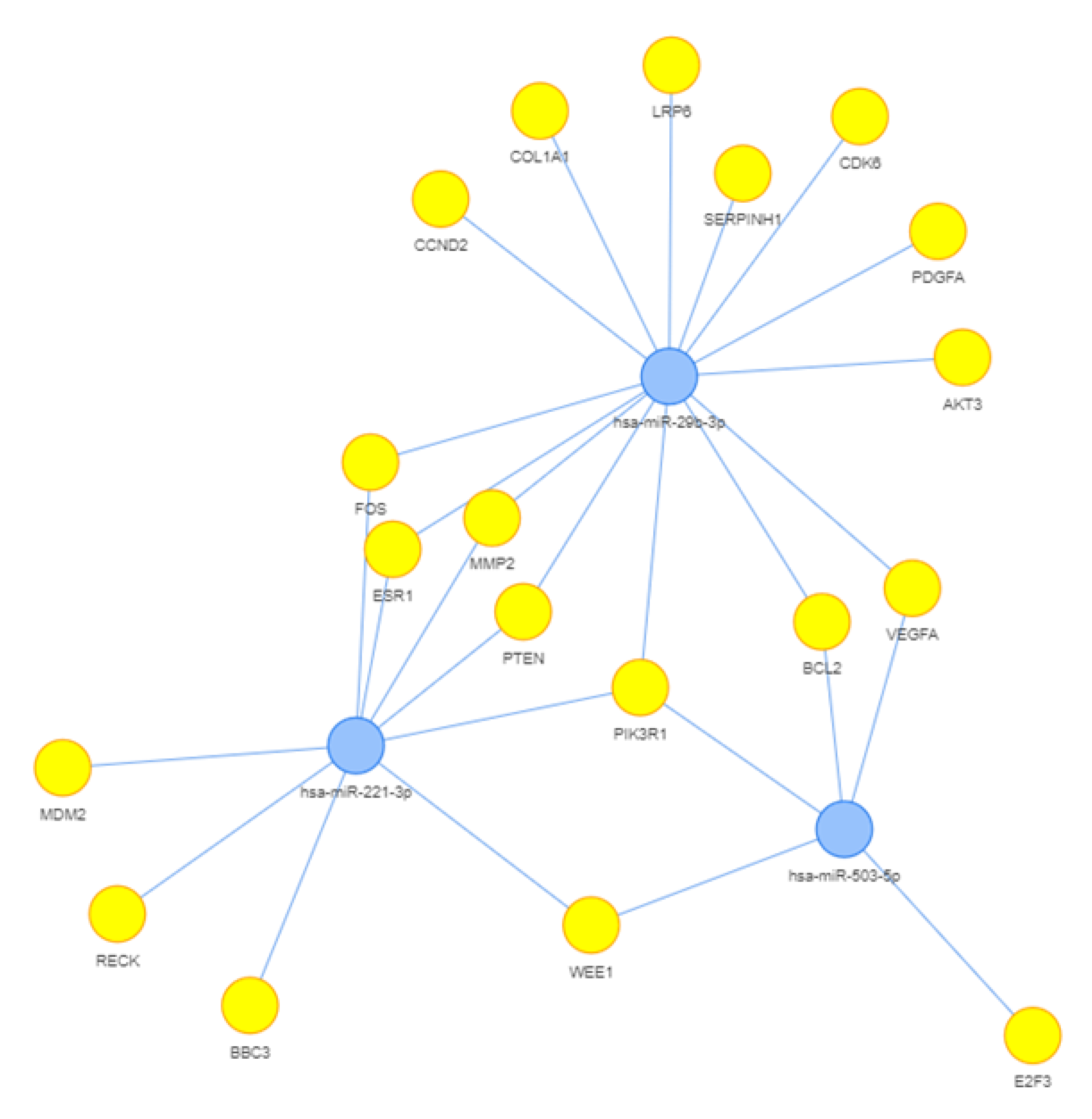 Biomedicines 11 01037 g003 Biomedicines 11 01037 g003