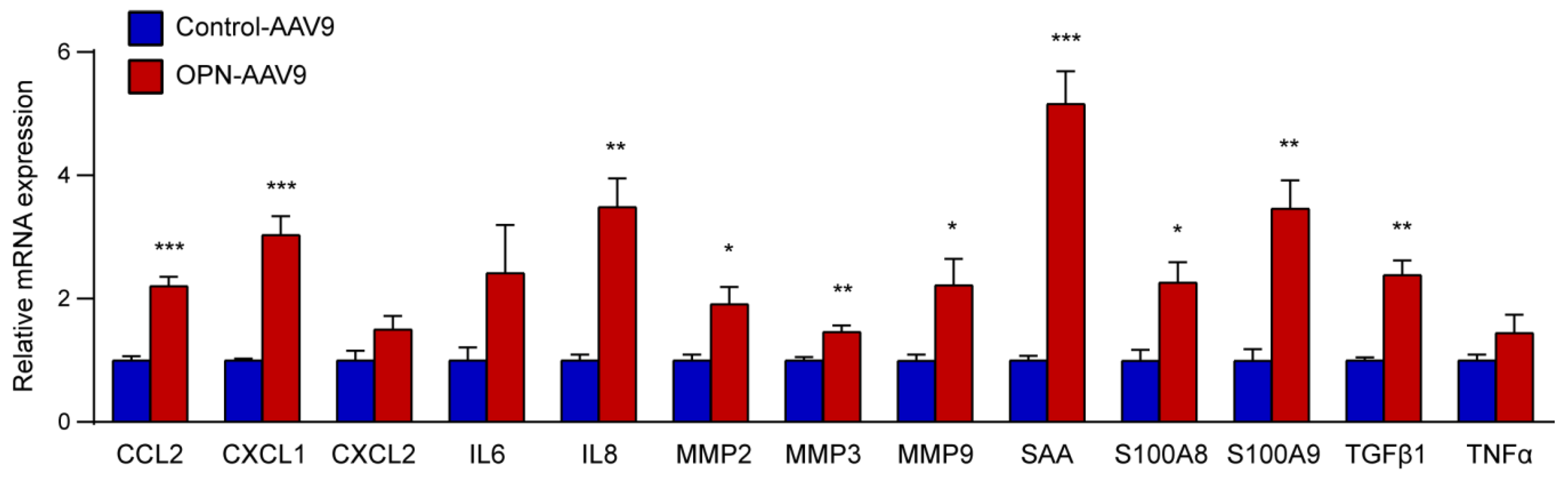Biomedicines 11 01038 g003