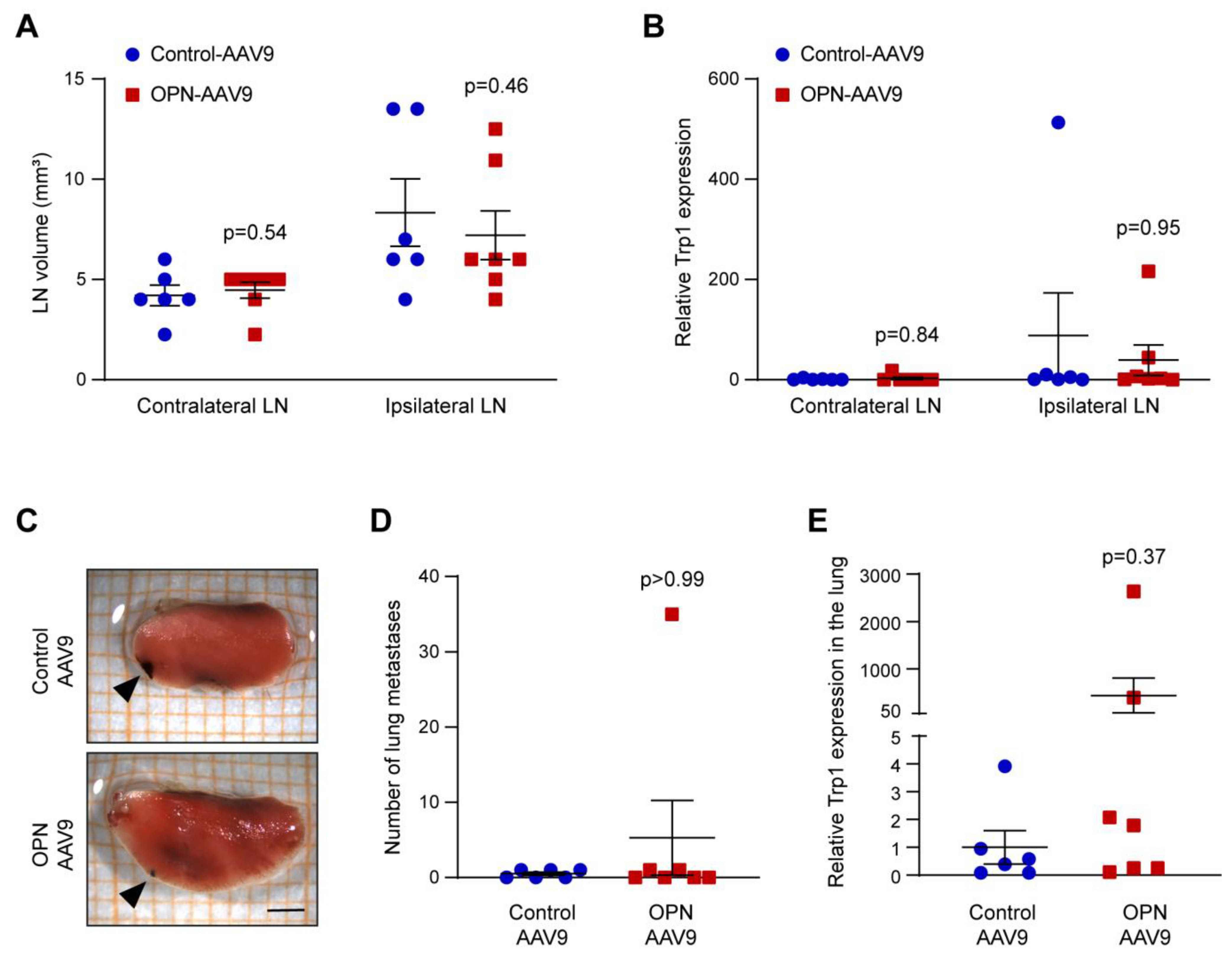 Biomedicines 11 01038 g005