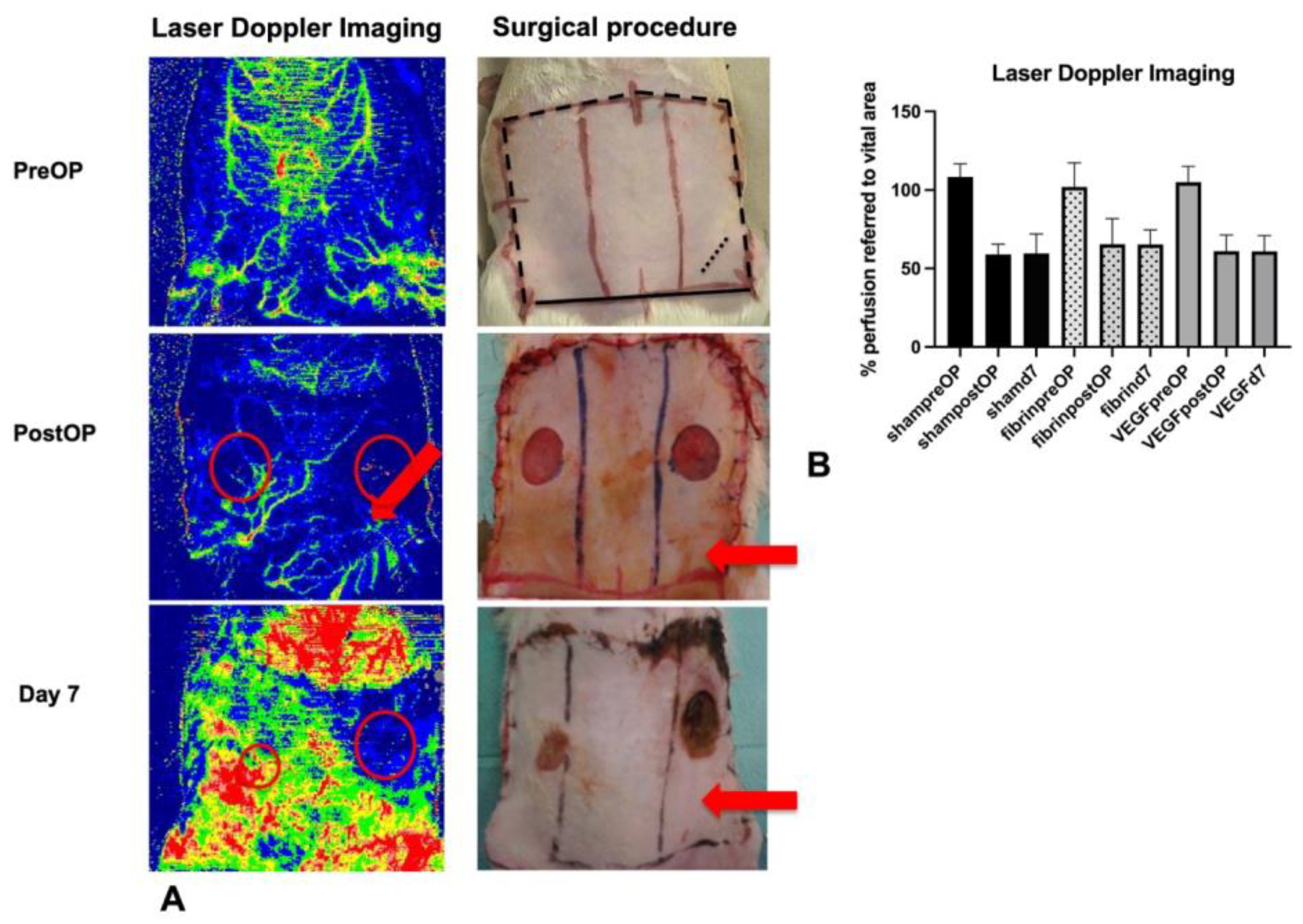Biomedicines 11 01043 g002