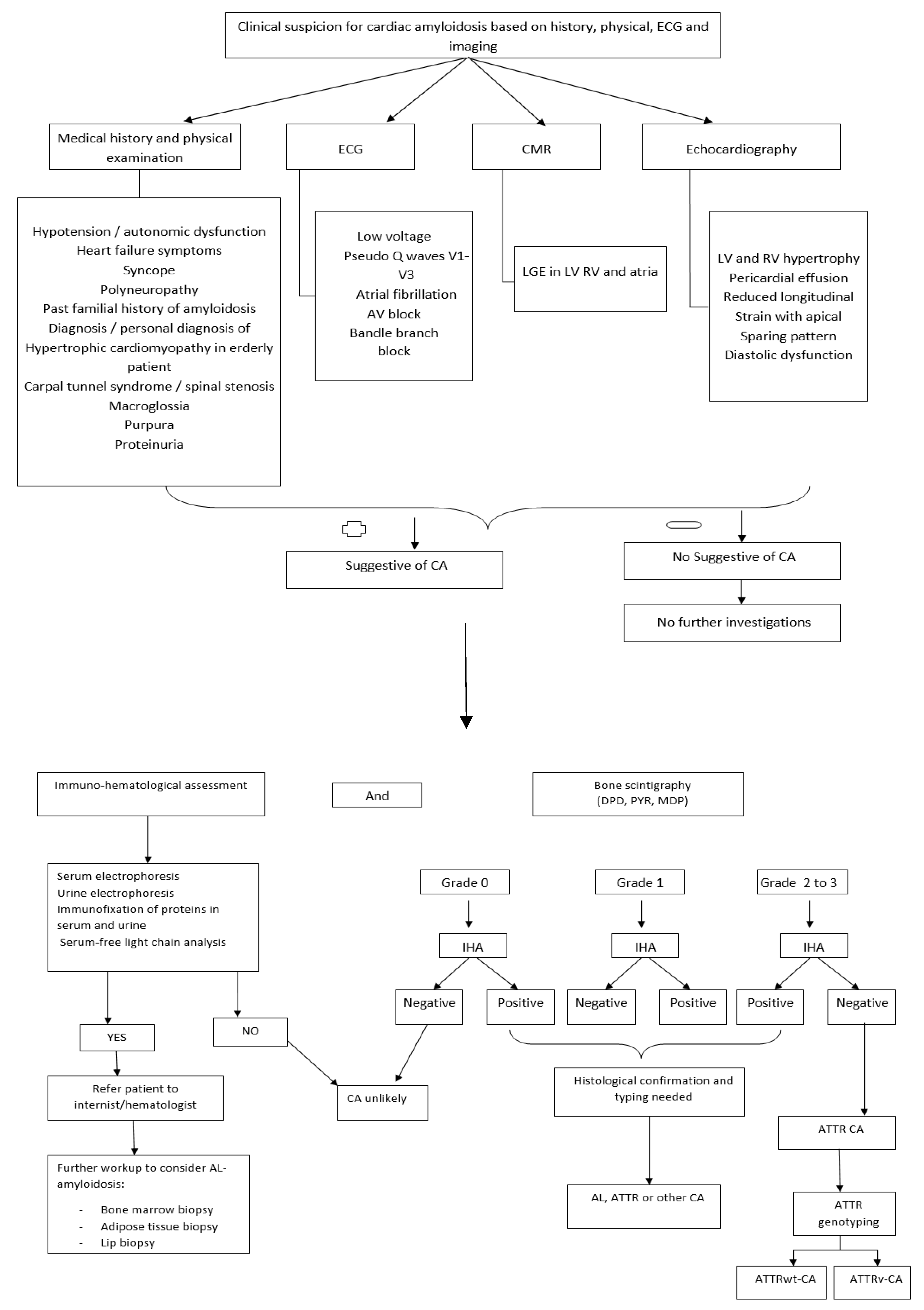 Biomedicines 11 01045 g003