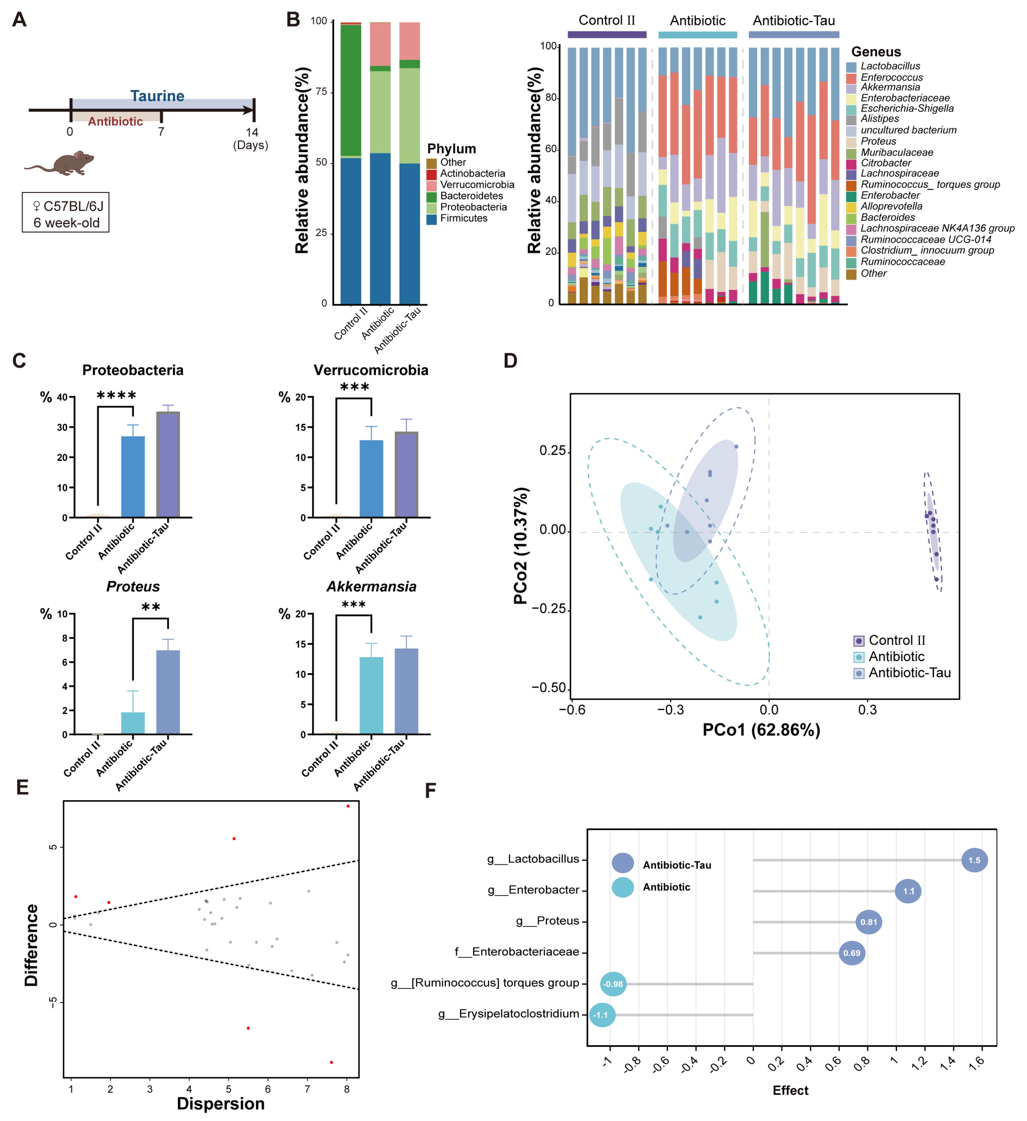 Biomedicines 11 01048 g004