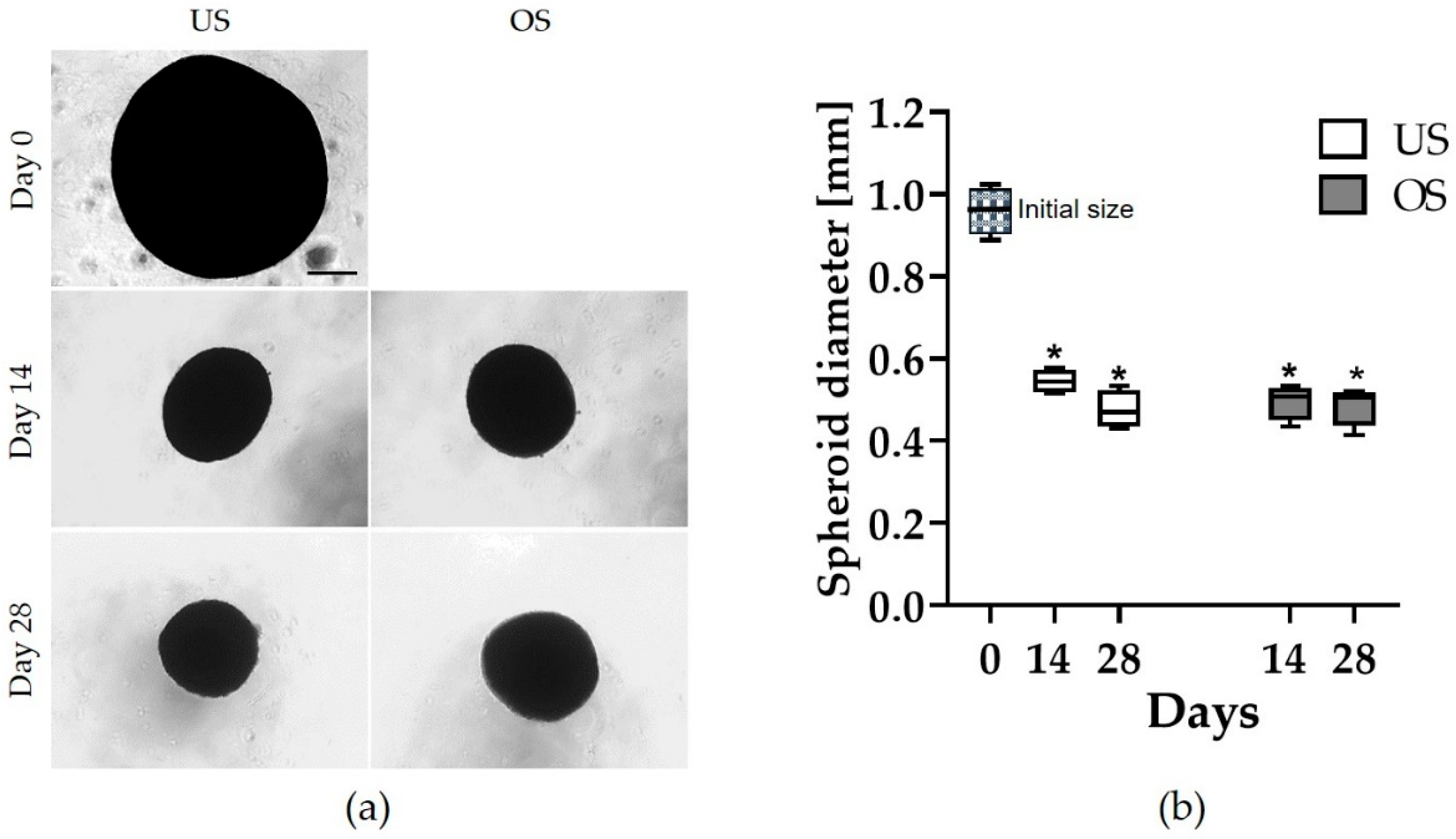 Biomedicines 11 01049 g001