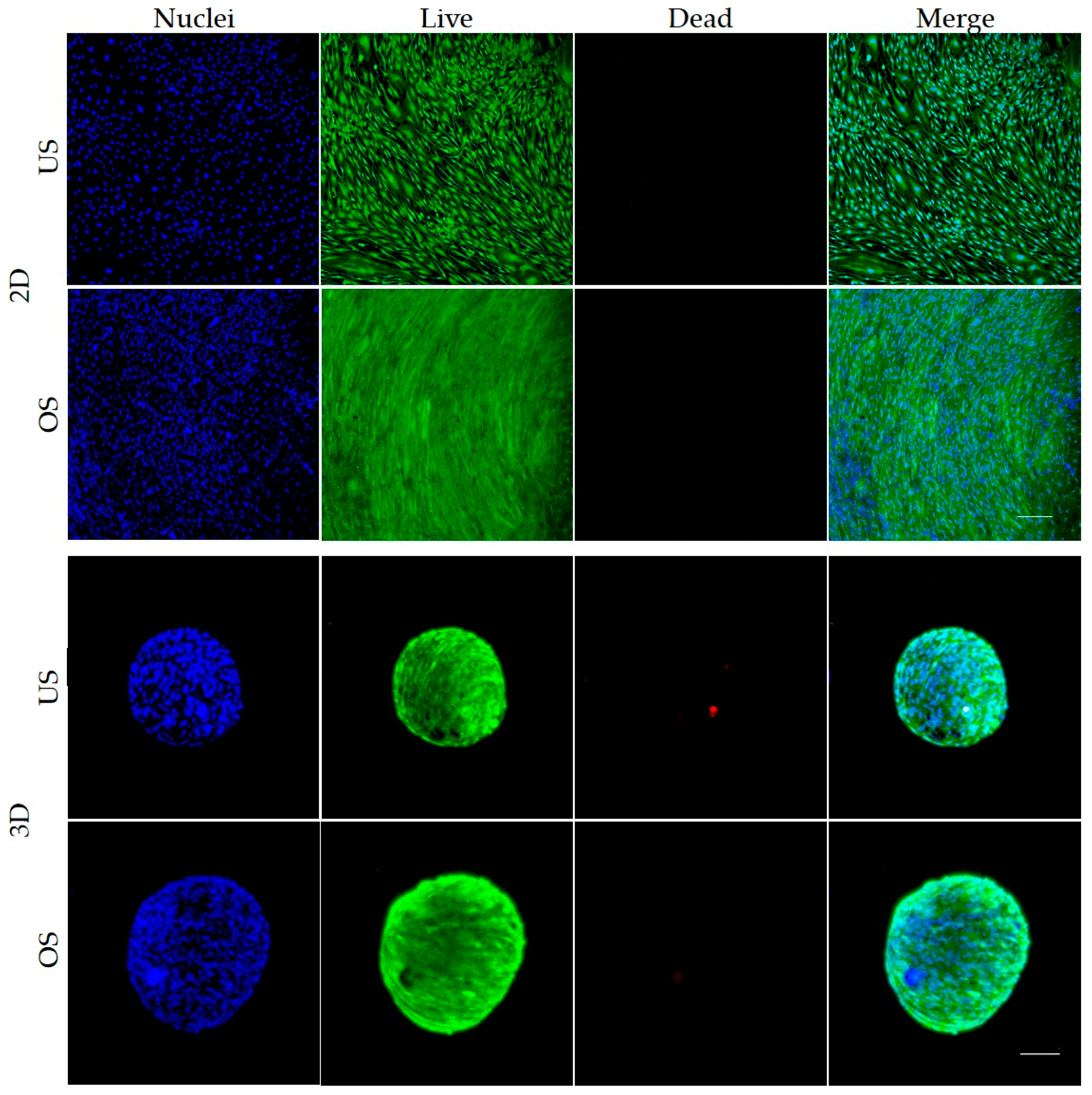 Biomedicines 11 01049 g003