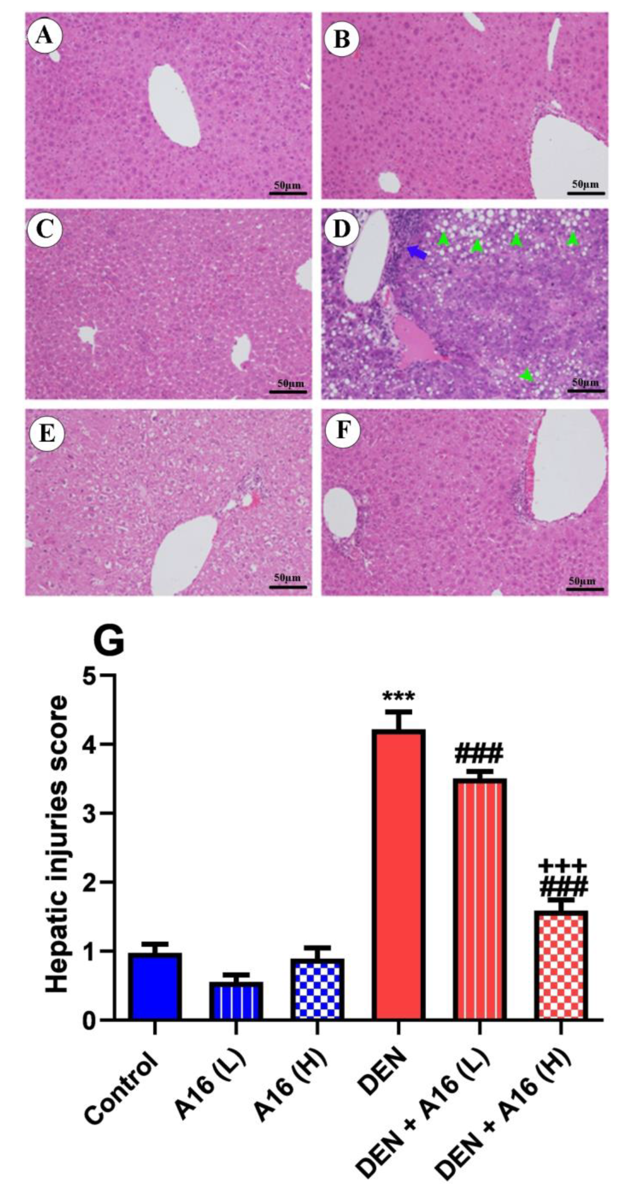 Biomedicines 11 01054 g006