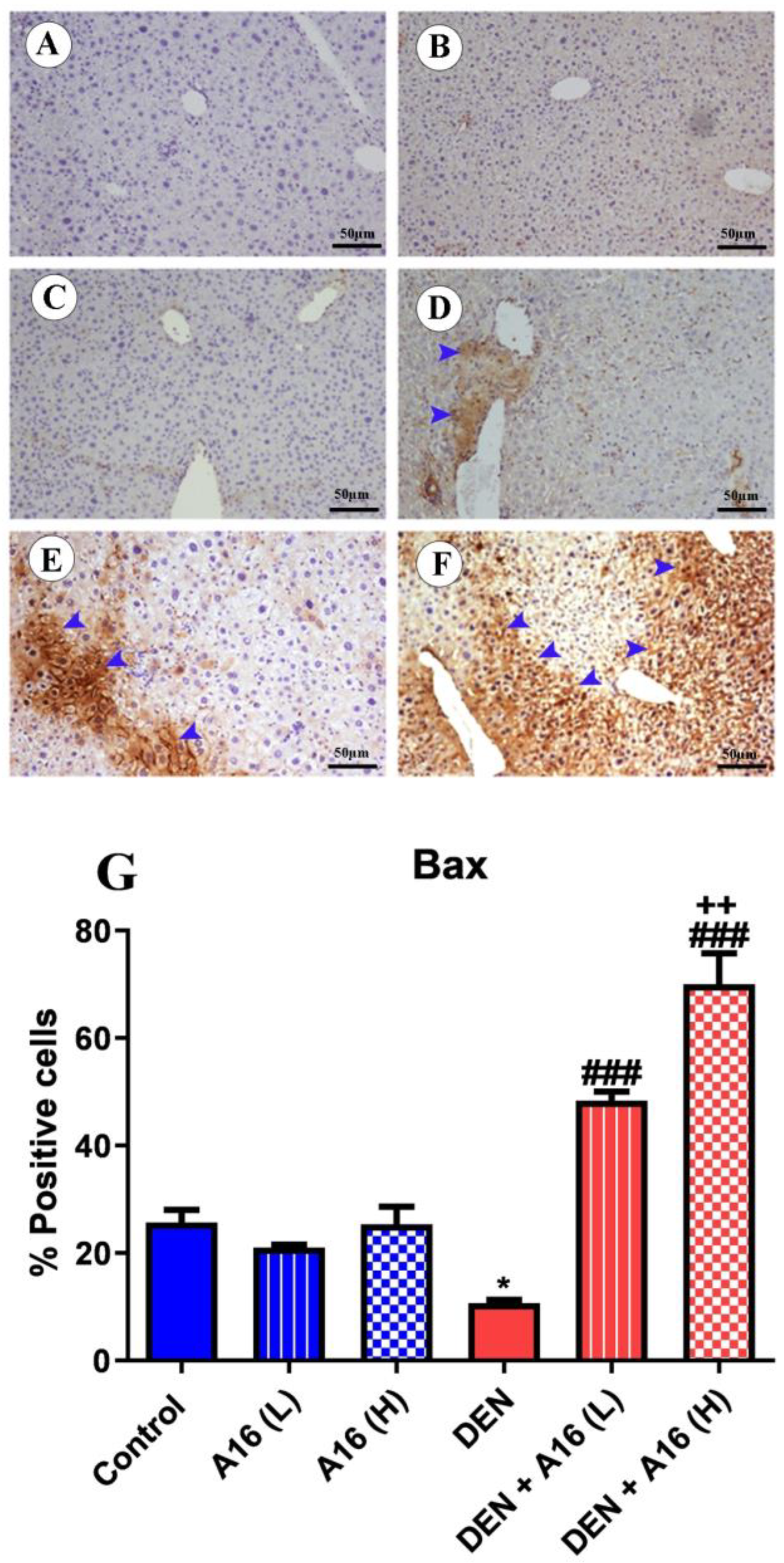 Biomedicines 11 01054 g008