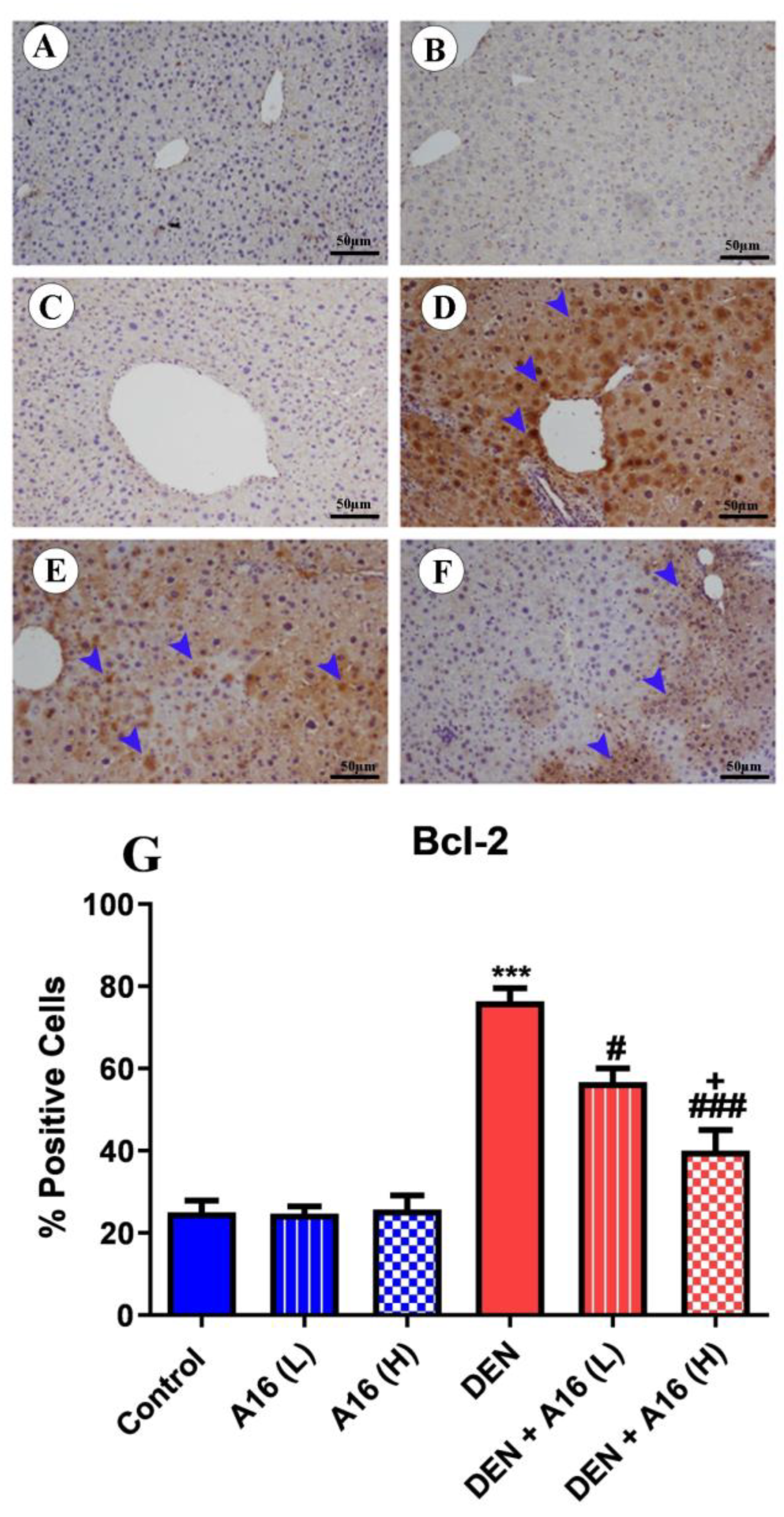Biomedicines 11 01054 g009