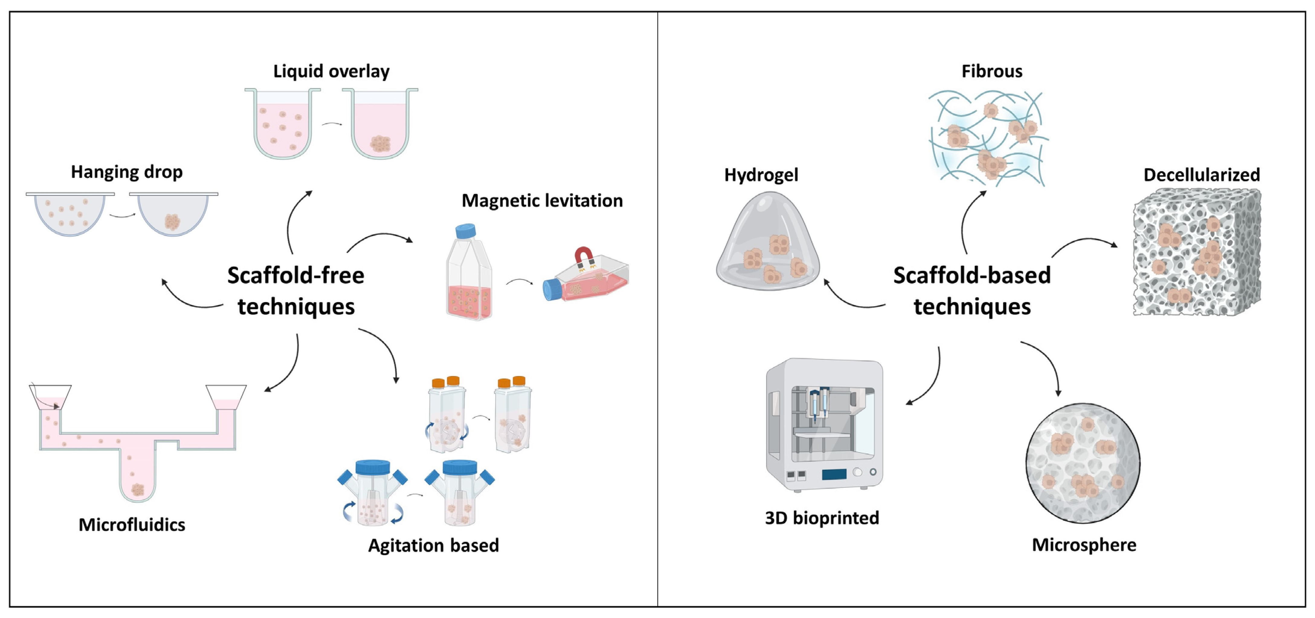 Preclinical Gold Complexes as Oral Drug Candidates to Treat