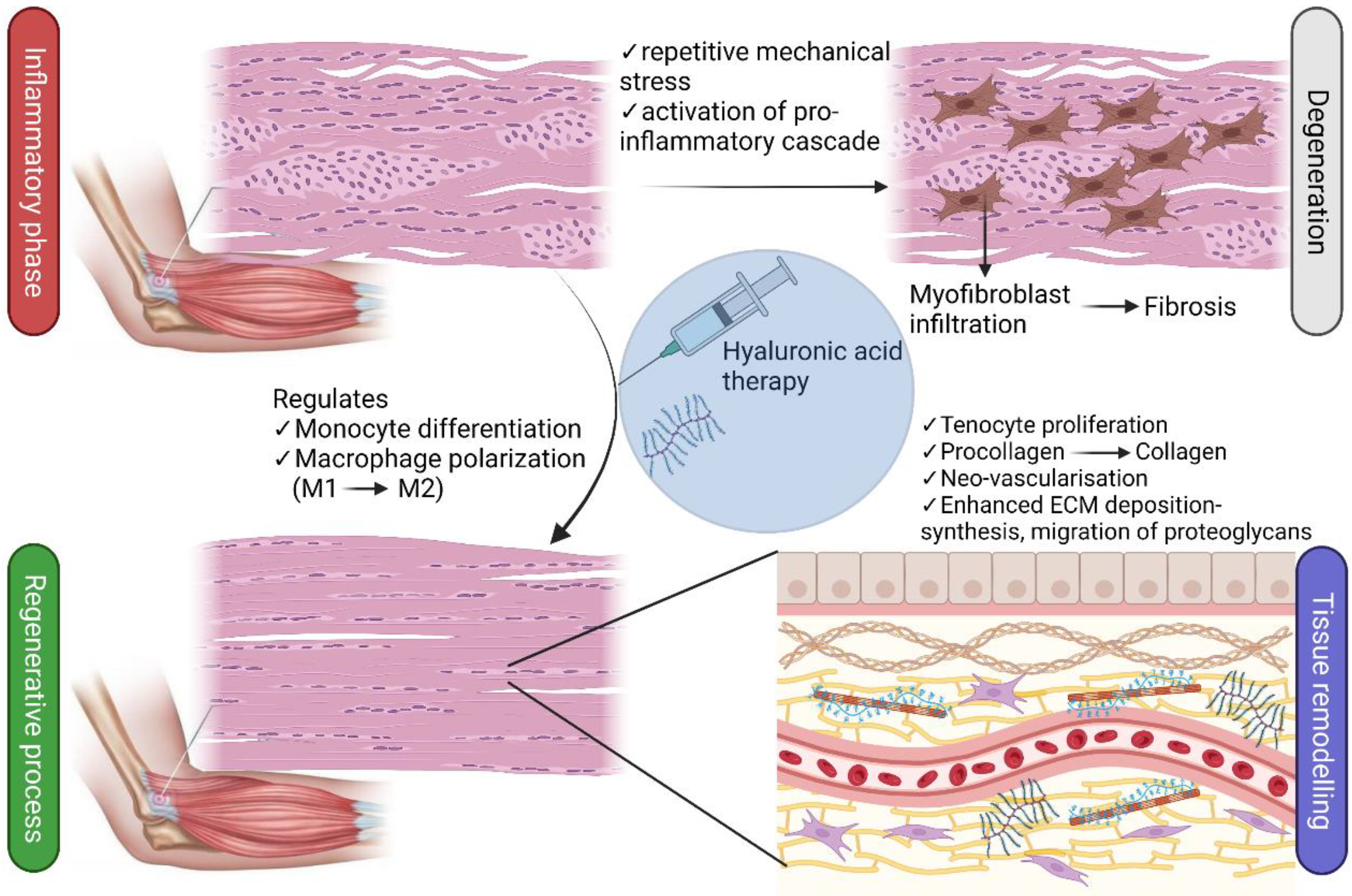 Biomedicines 11 01061 g002 Biomedicines 11 01061 g002