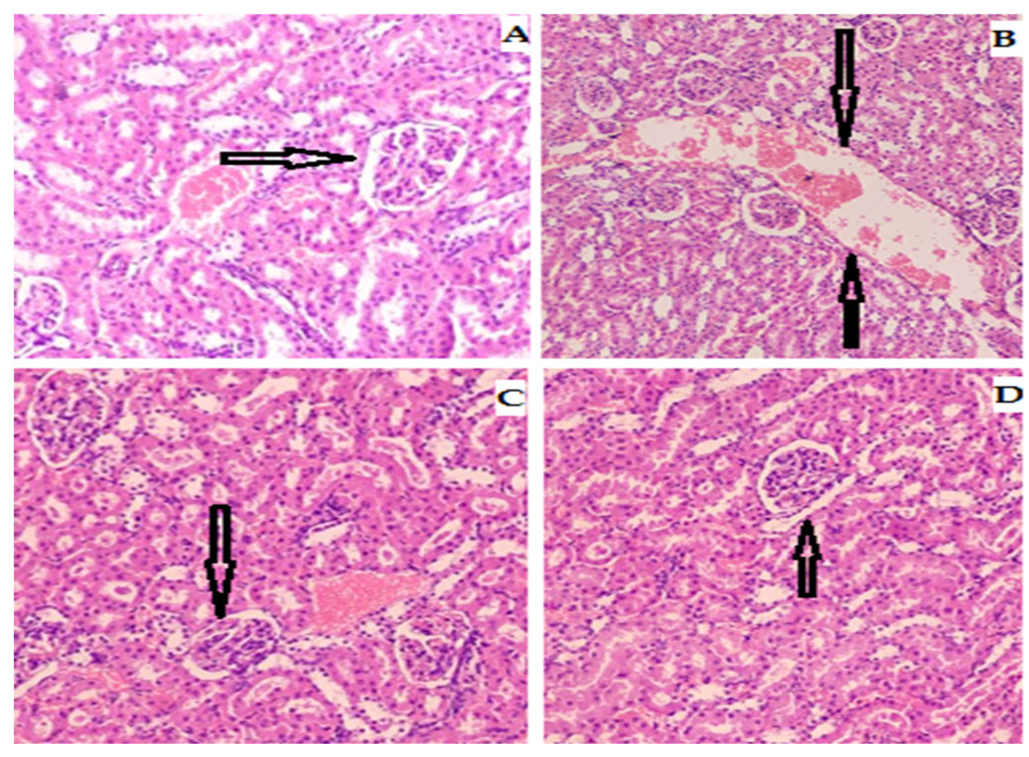 Biomedicines 11 01064 g009