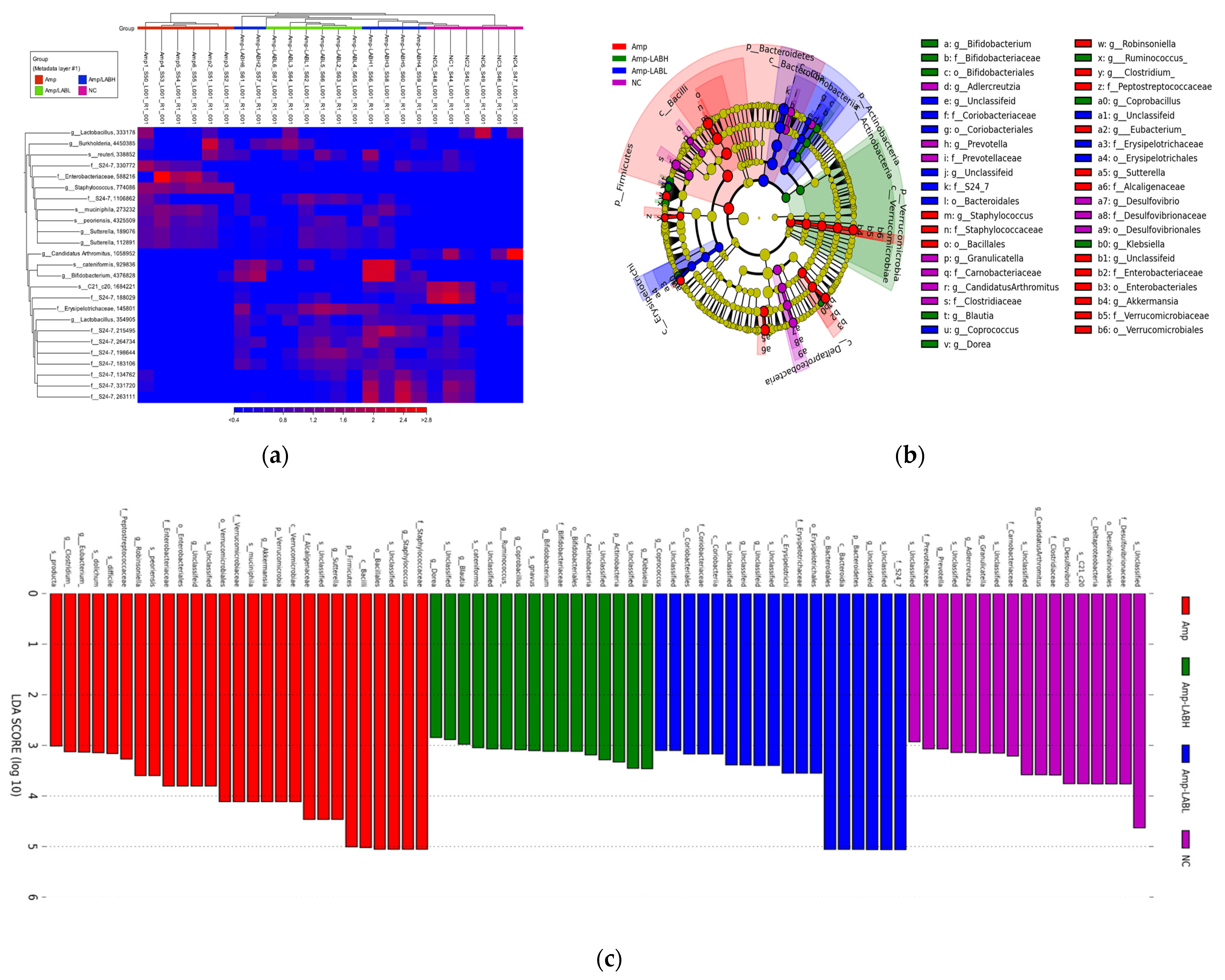 Biomedicines 11 01068 g004a