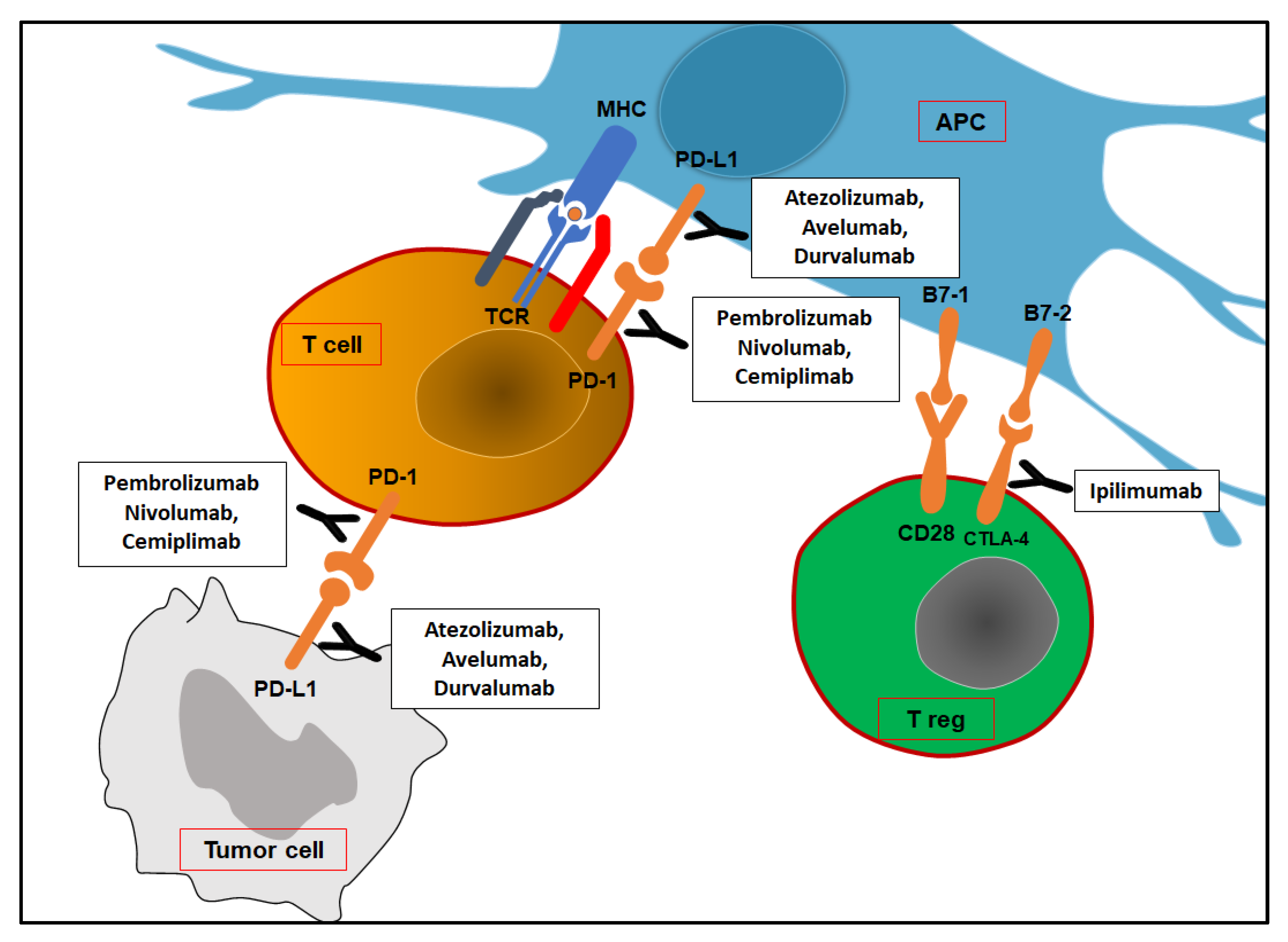 Biomedicines 11 01071 g001 Biomedicines 11 01071 g001