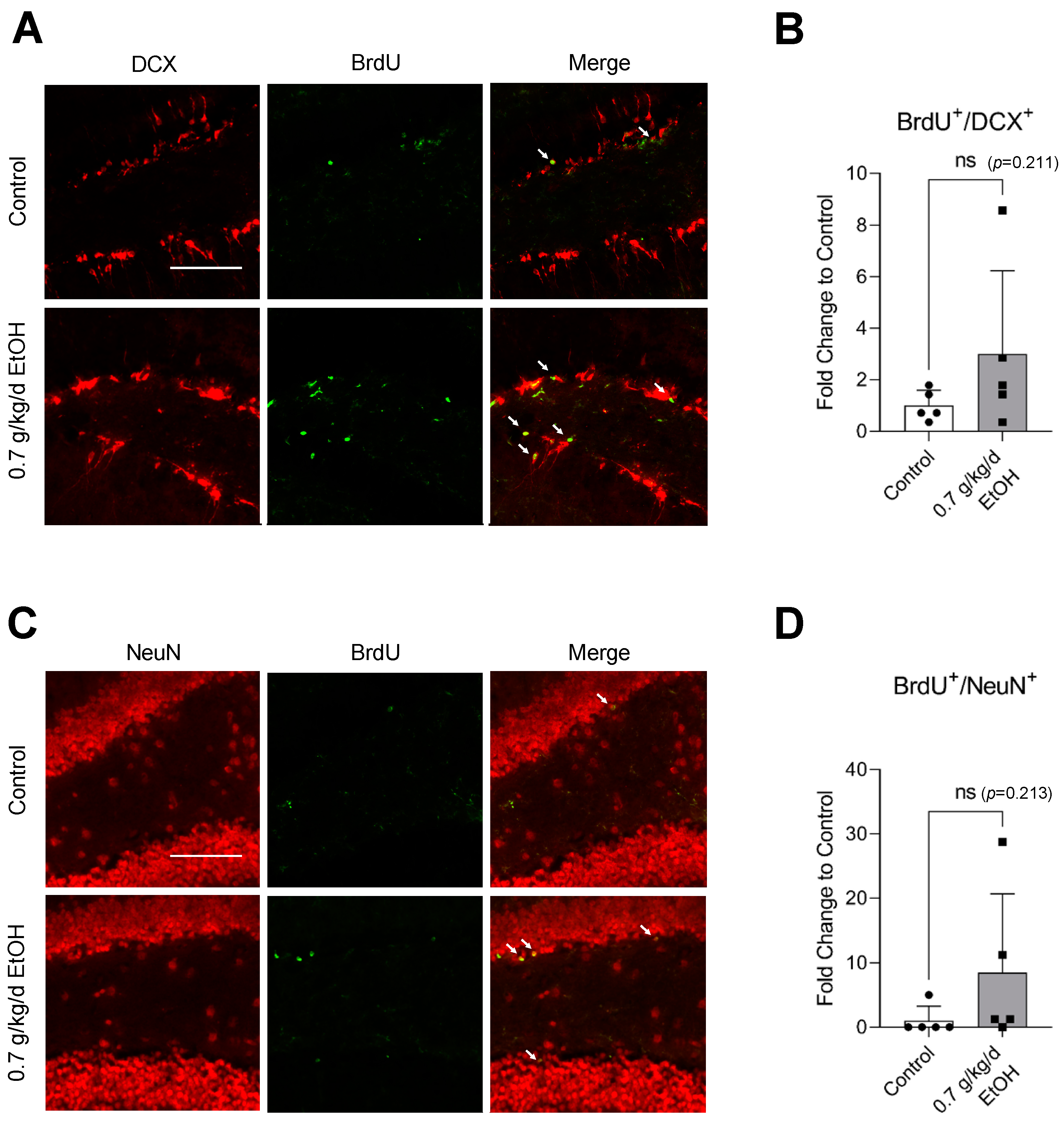 Biomedicines 11 01074 g002