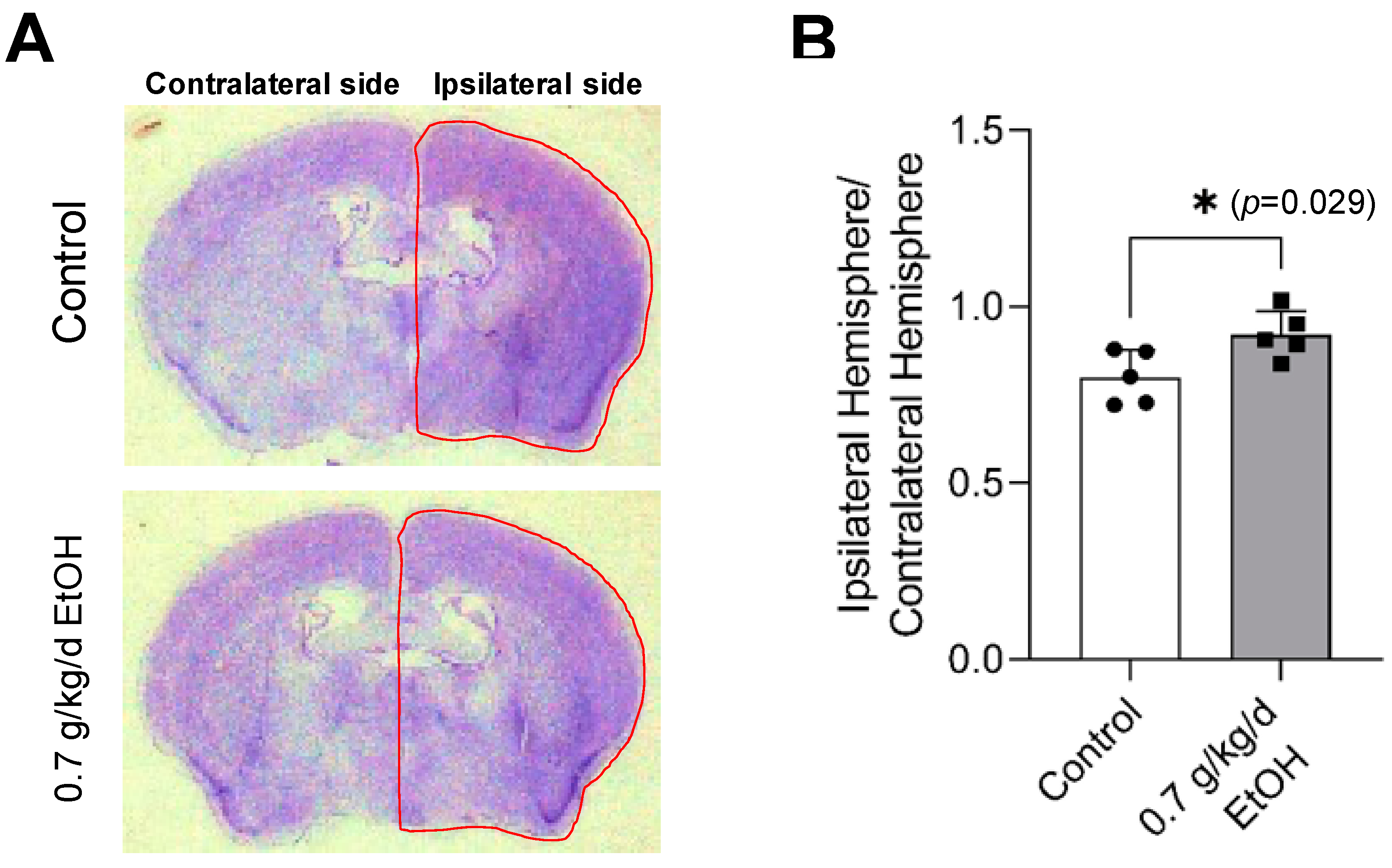 Biomedicines 11 01074 g003